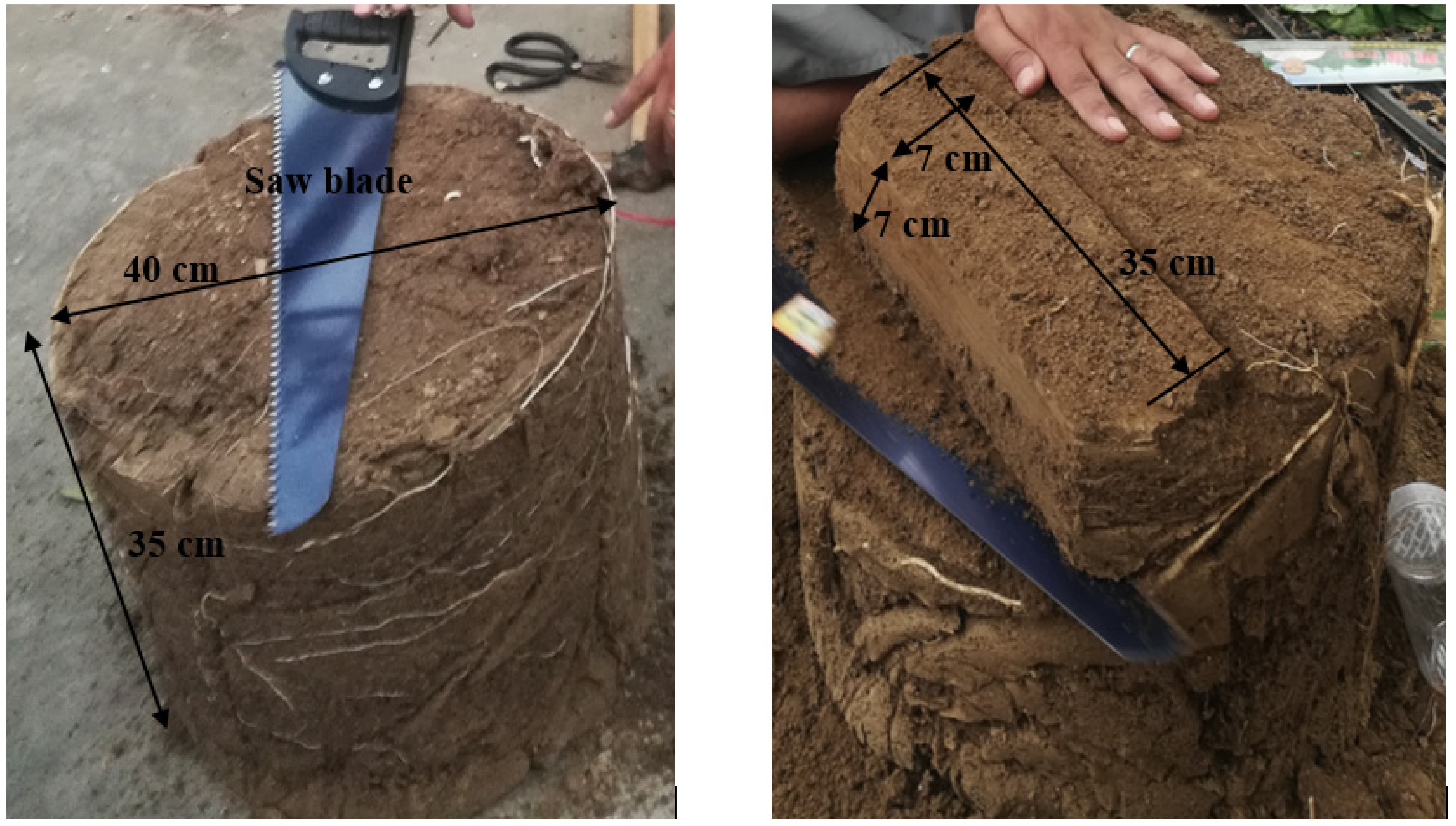 Agronomy 11 00003 g002 Agronomy 11 00003 g002