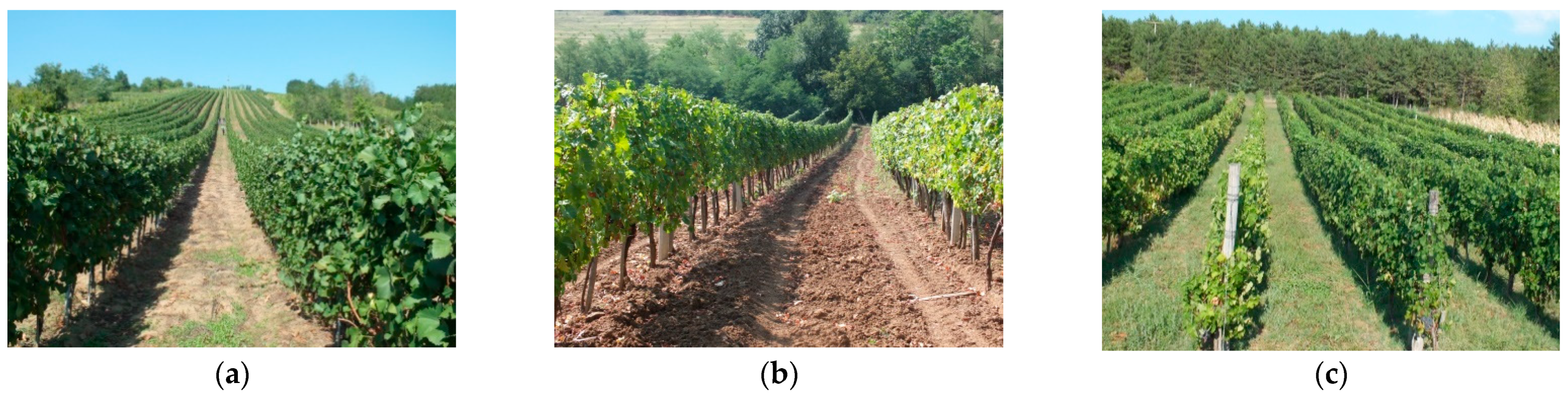 Agronomy 11 00009 g003 Agronomy 11 00009 g003