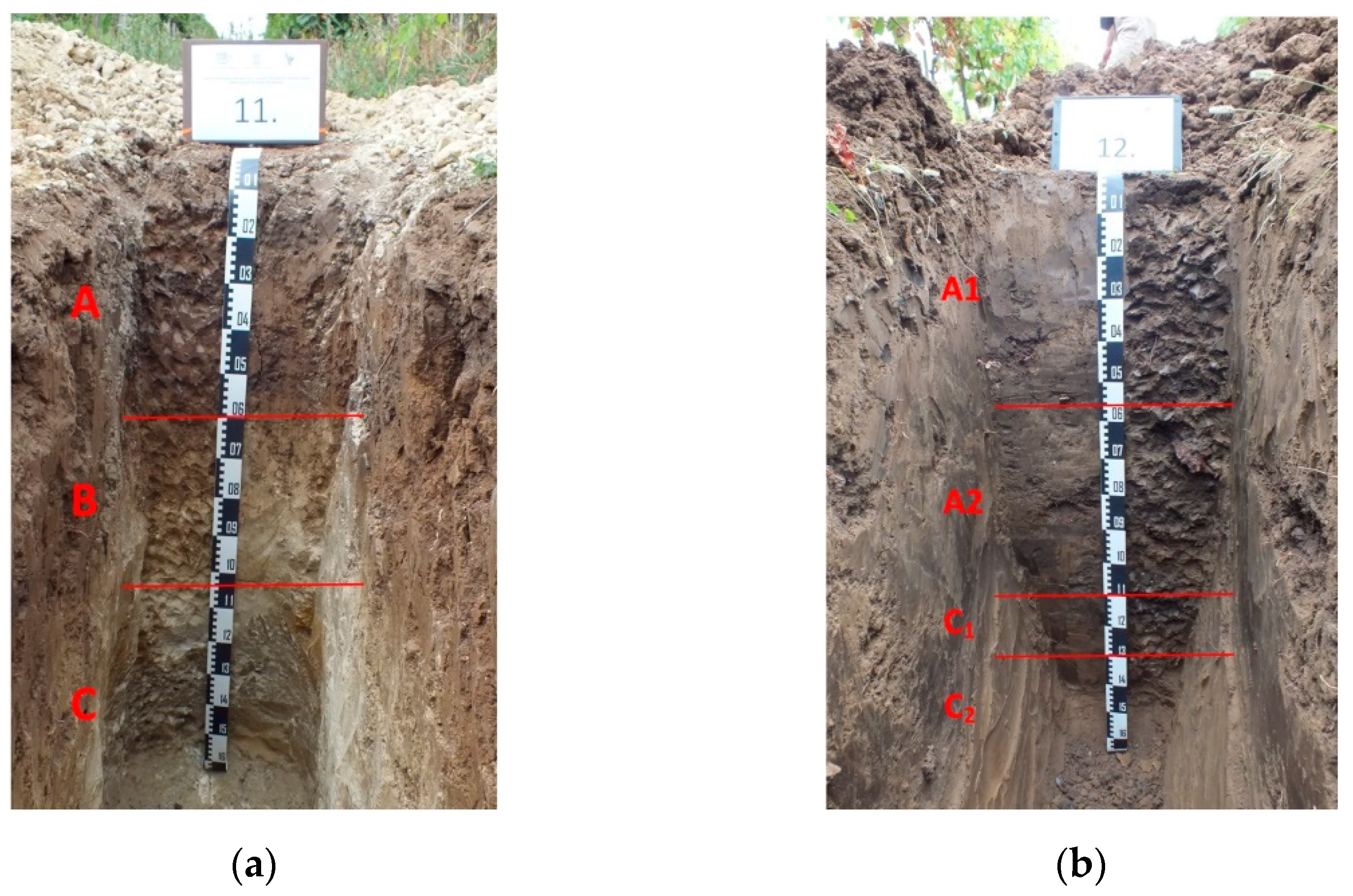 Agronomy 11 00009 g004 Agronomy 11 00009 g004