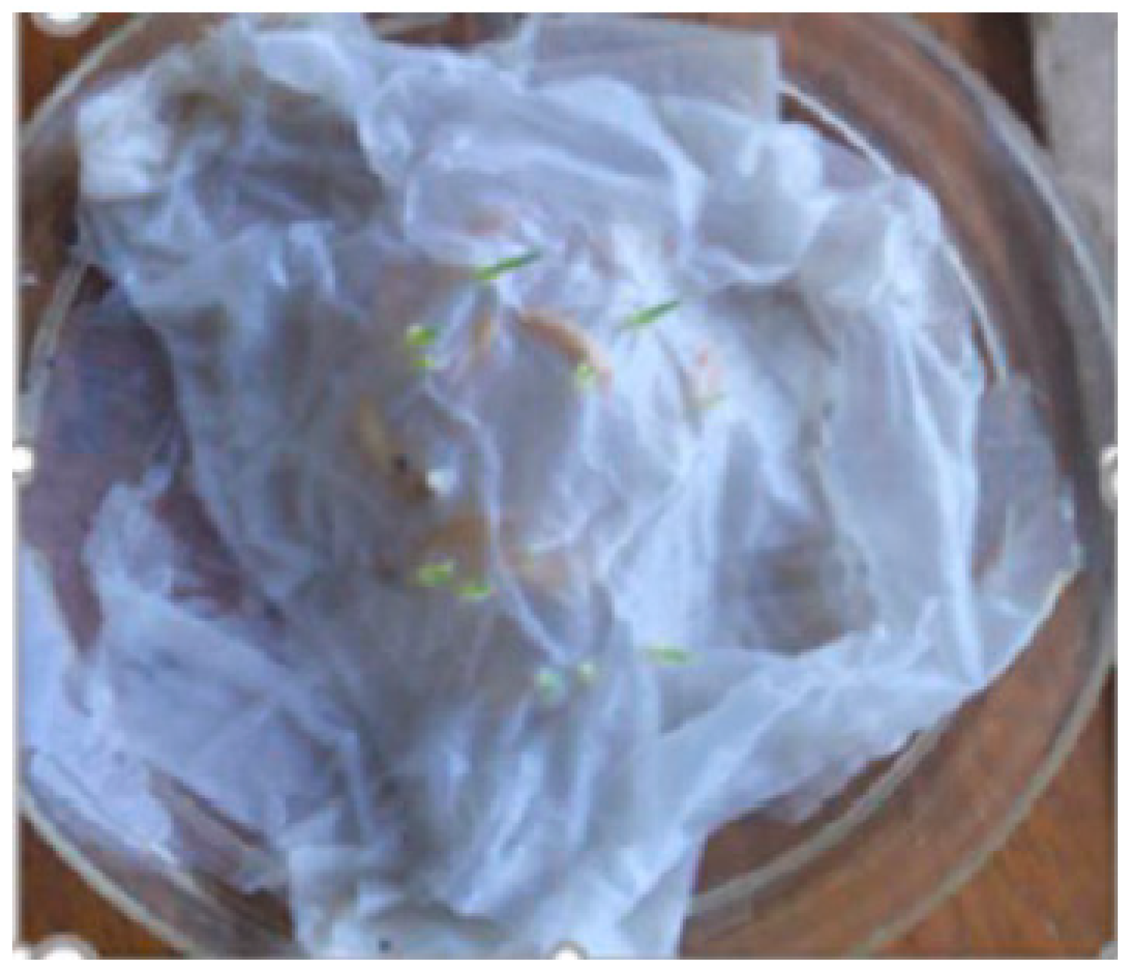 Agronomy 11 00012 g002 Agronomy 11 00012 g002