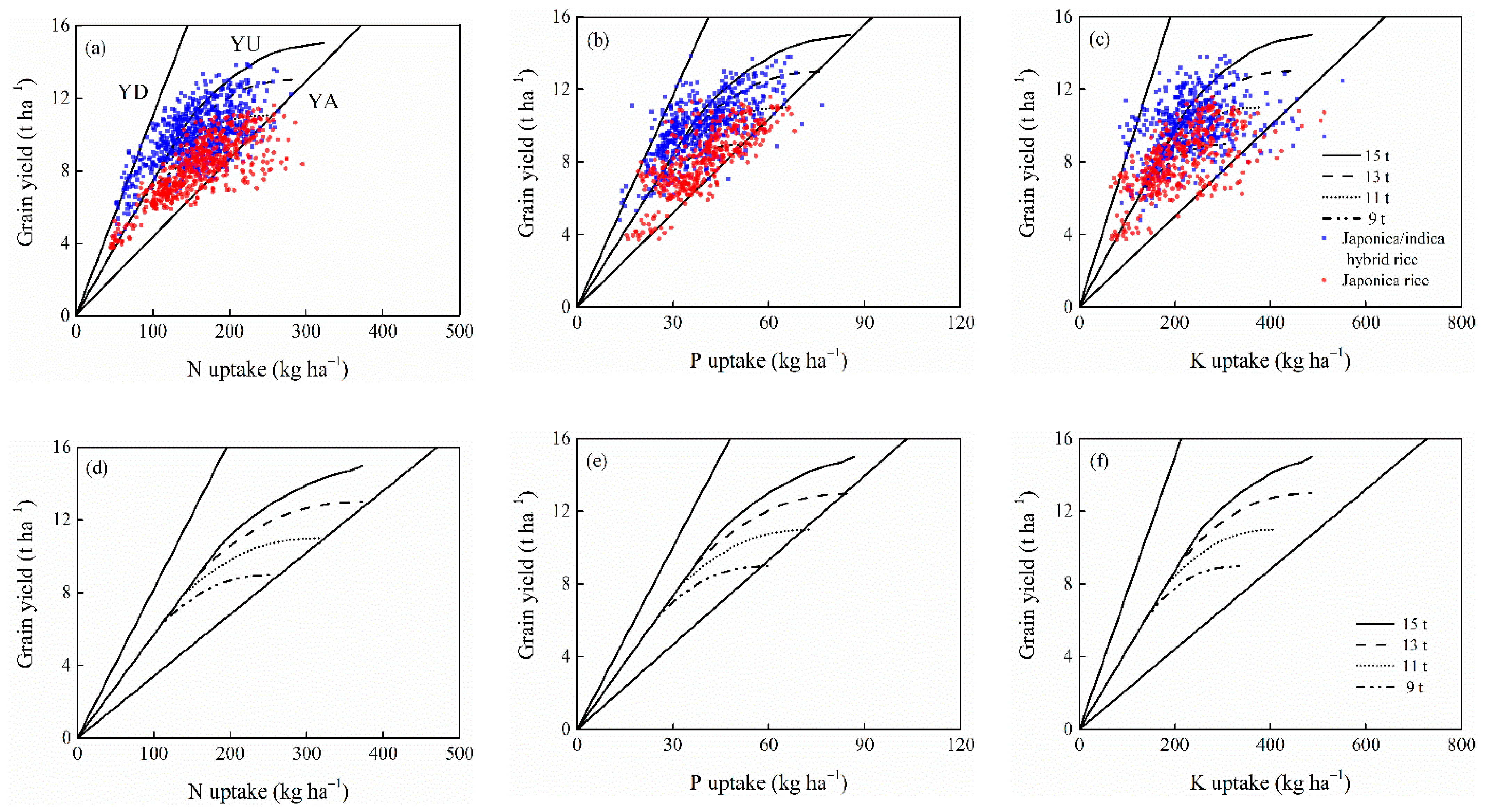 Agronomy 11 00026 g006