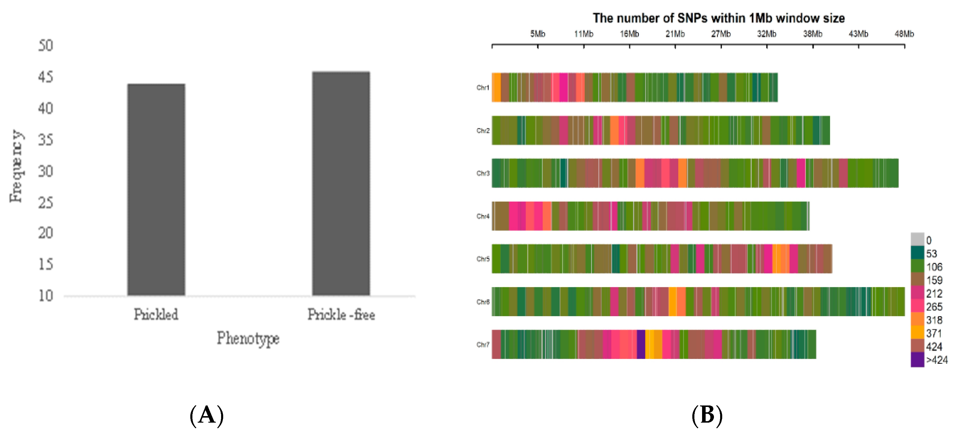 Agronomy 11 00027 g002