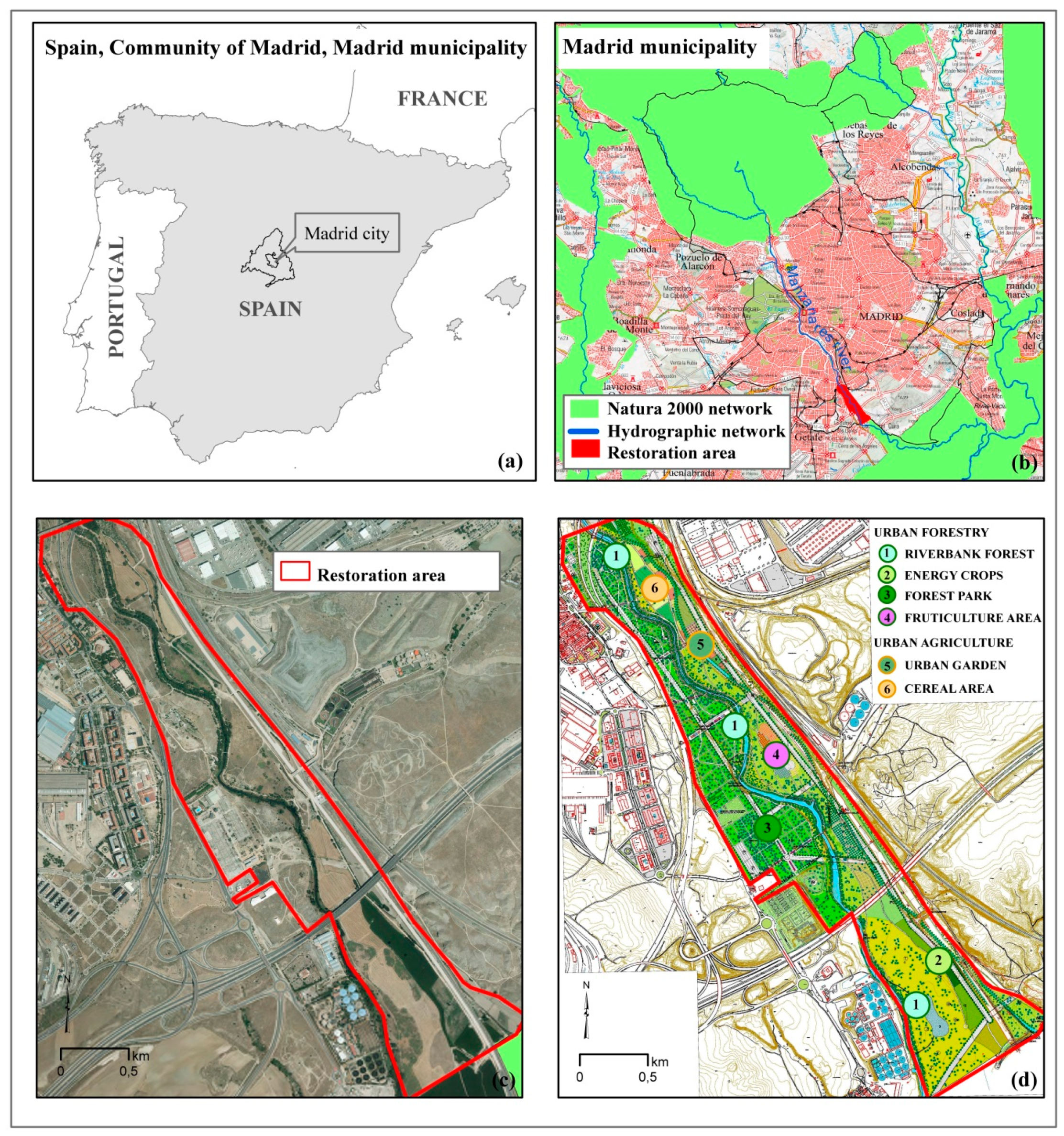Agronomy 11 00031 g001