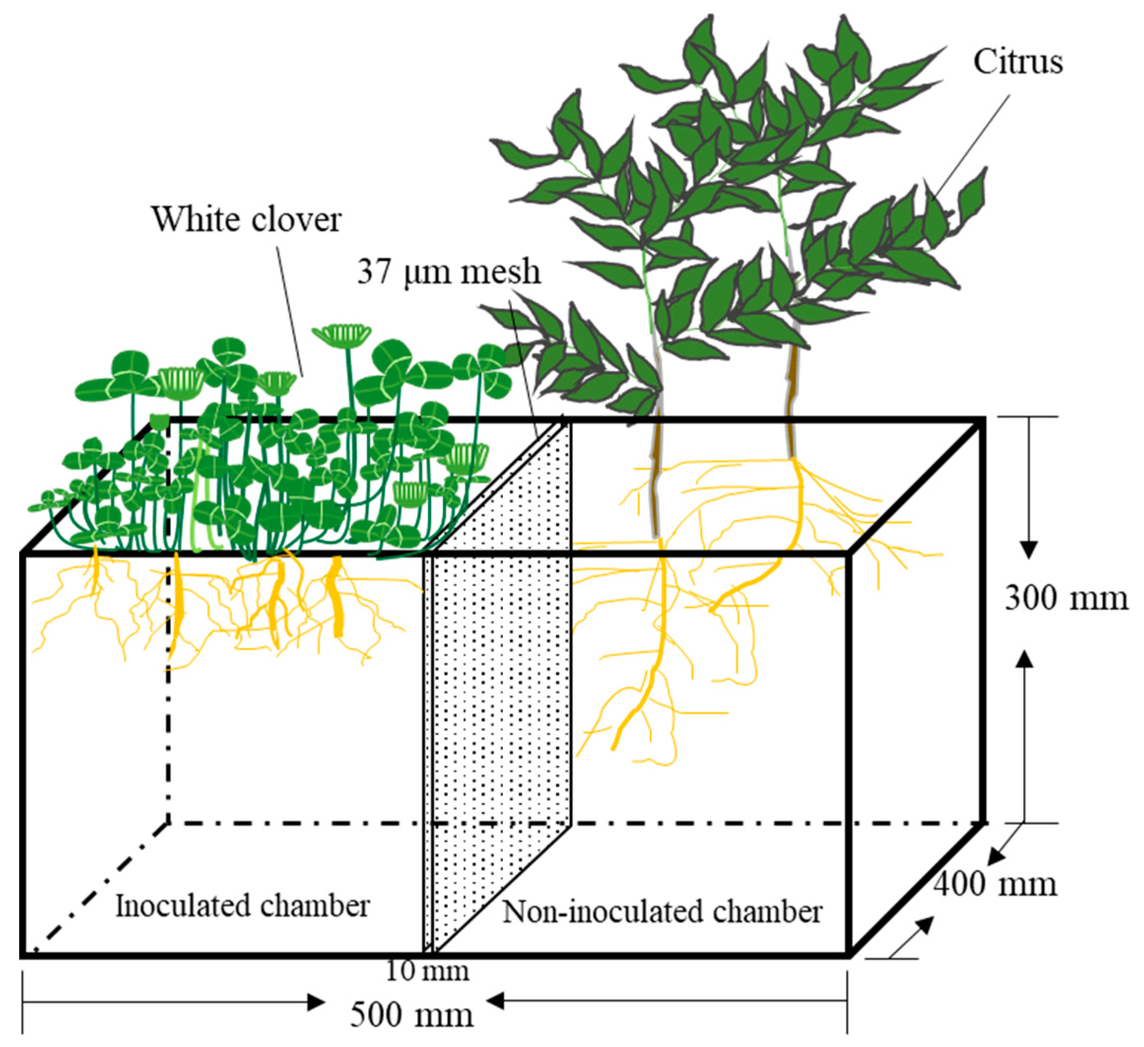 Agronomy 11 00032 g001 Agronomy 11 00032 g001