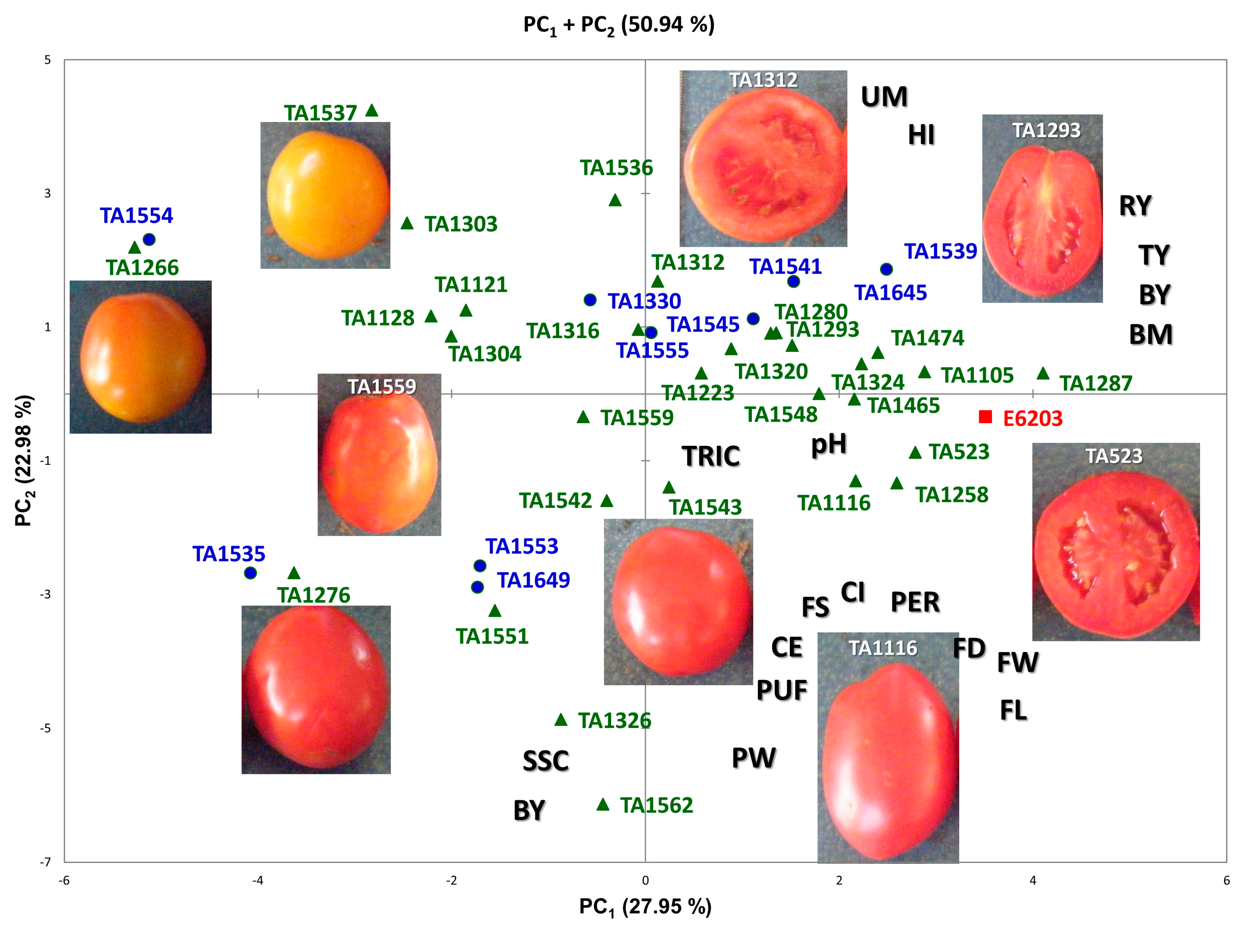 Agronomy 11 00038 g002