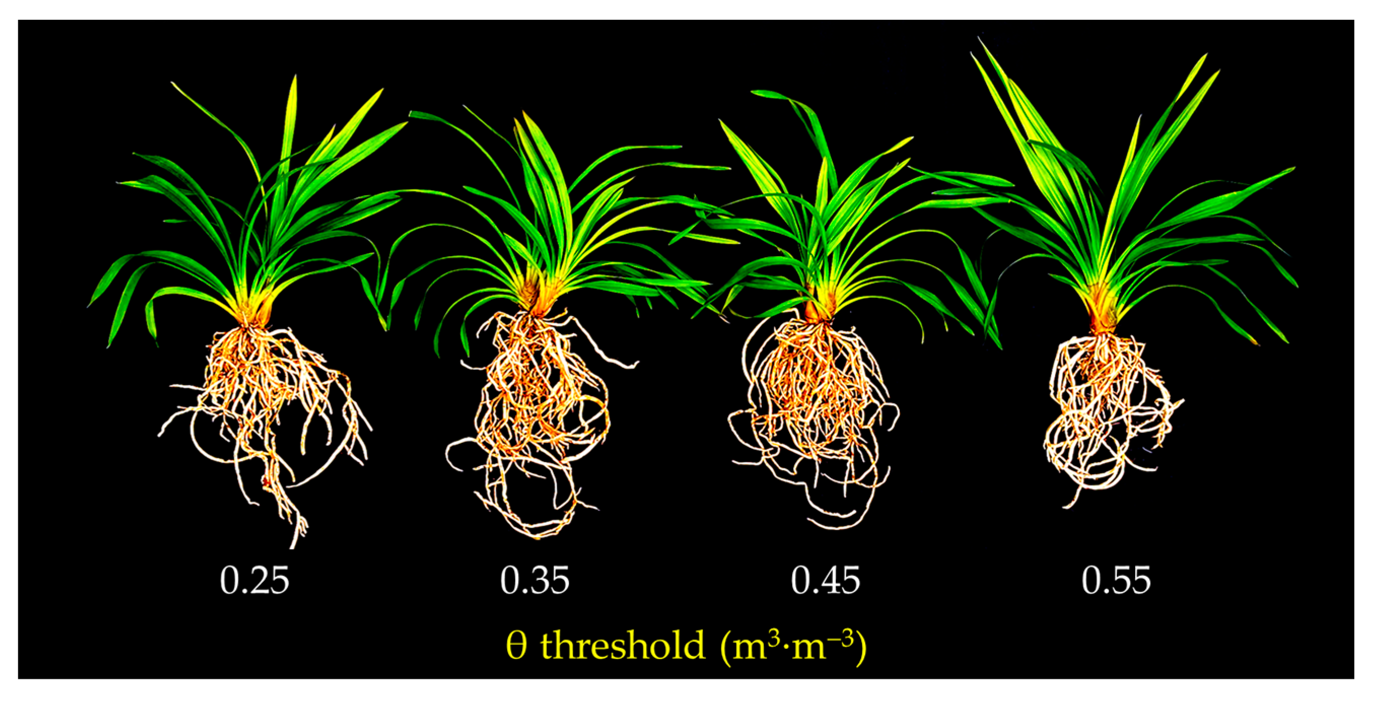 Agronomy 11 00041 g003 Agronomy 11 00041 g003