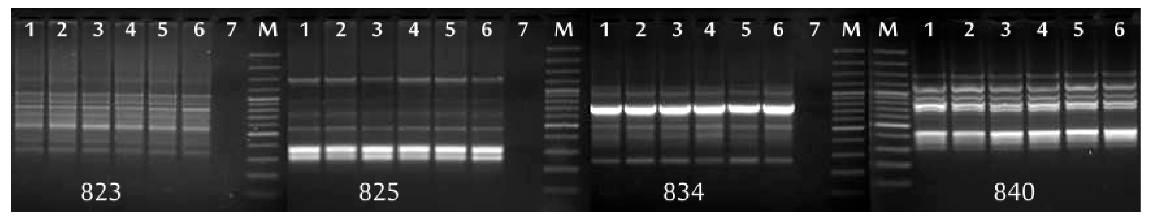Agronomy 11 00045 g002