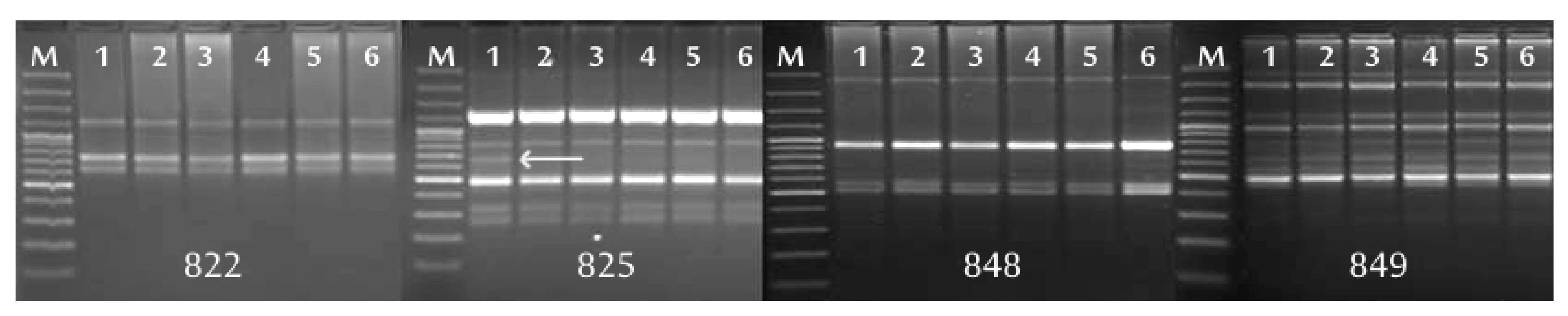 Agronomy 11 00045 g003