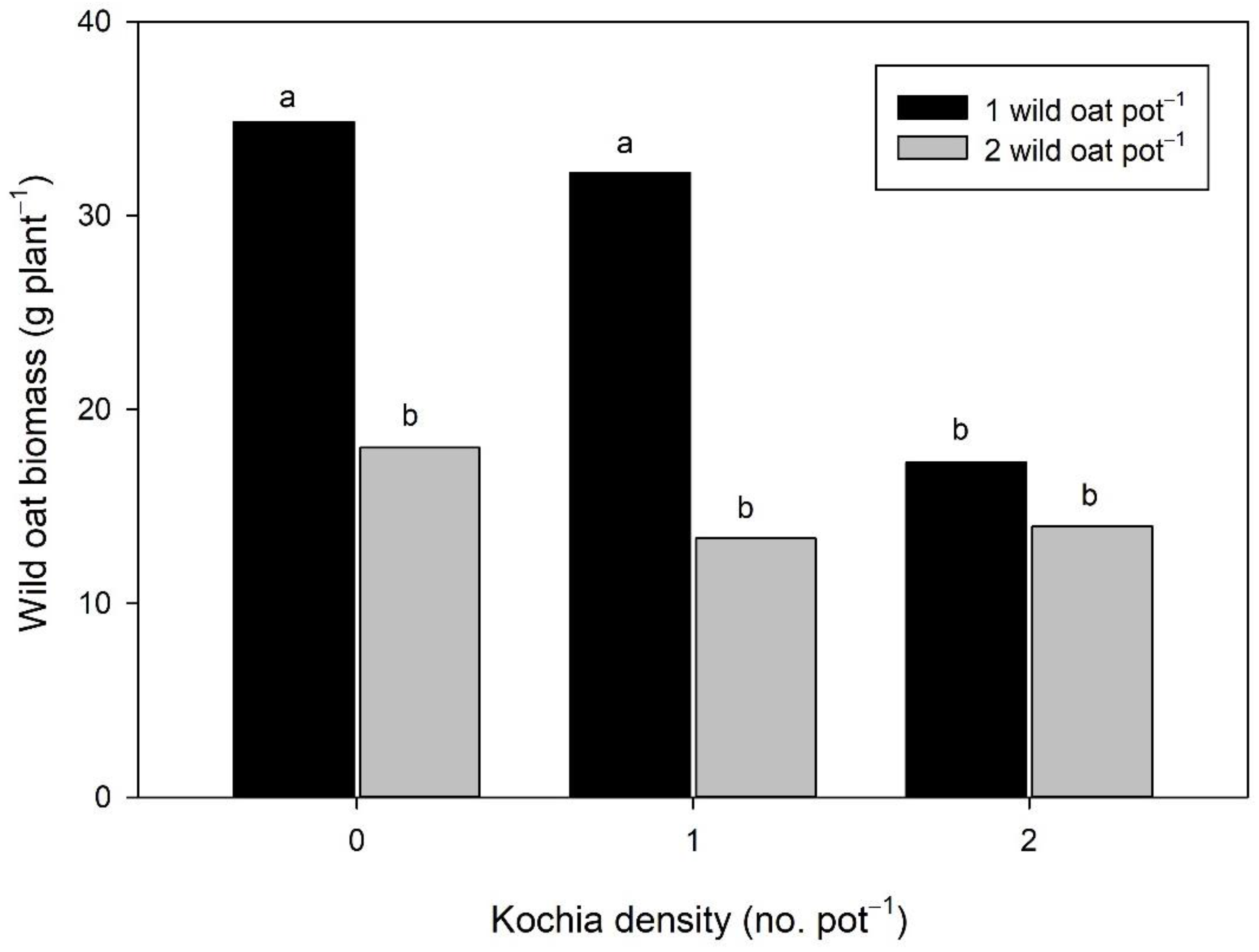 Agronomy 11 00062 g005