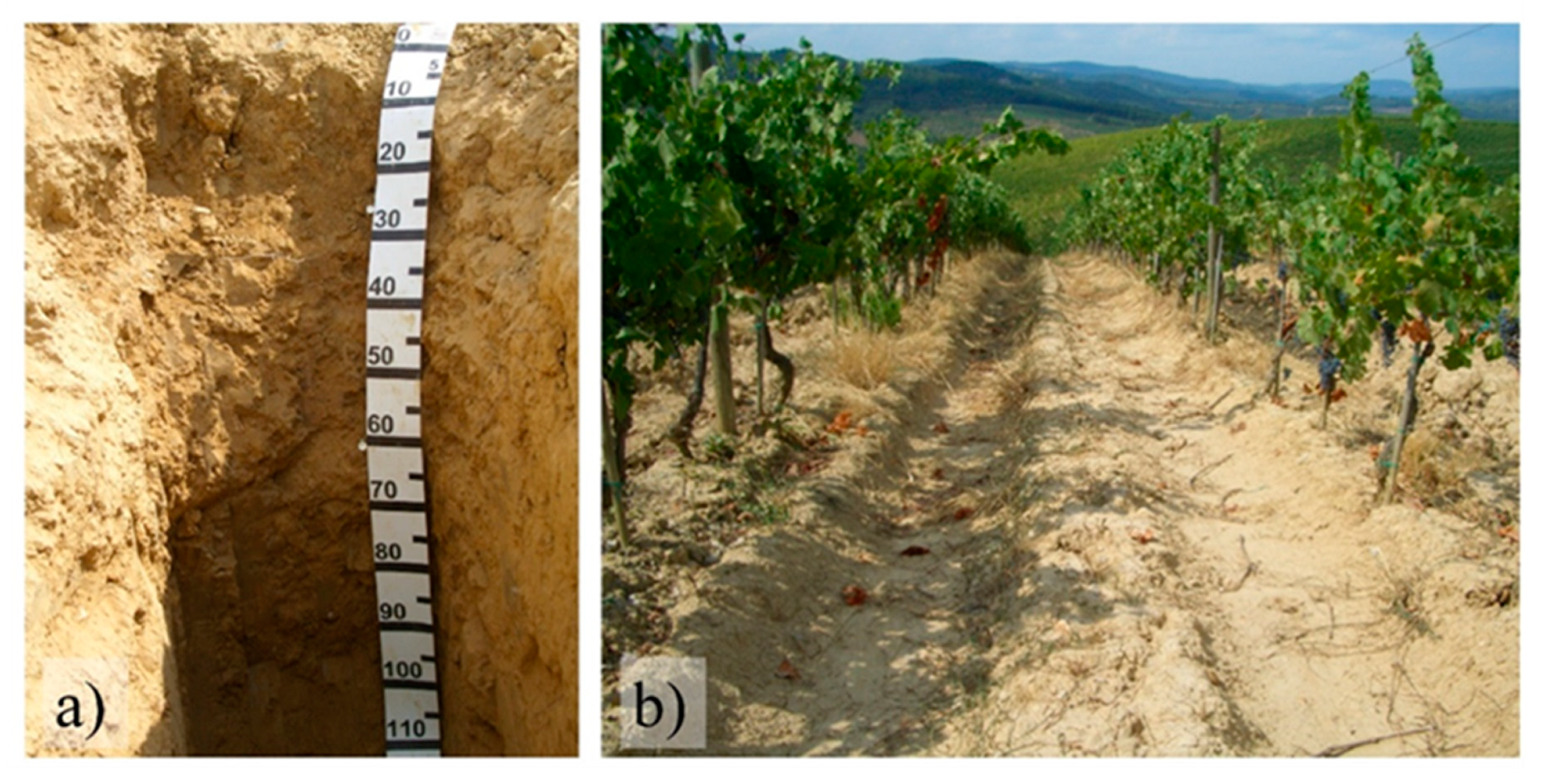 Agronomy 11 00068 g001