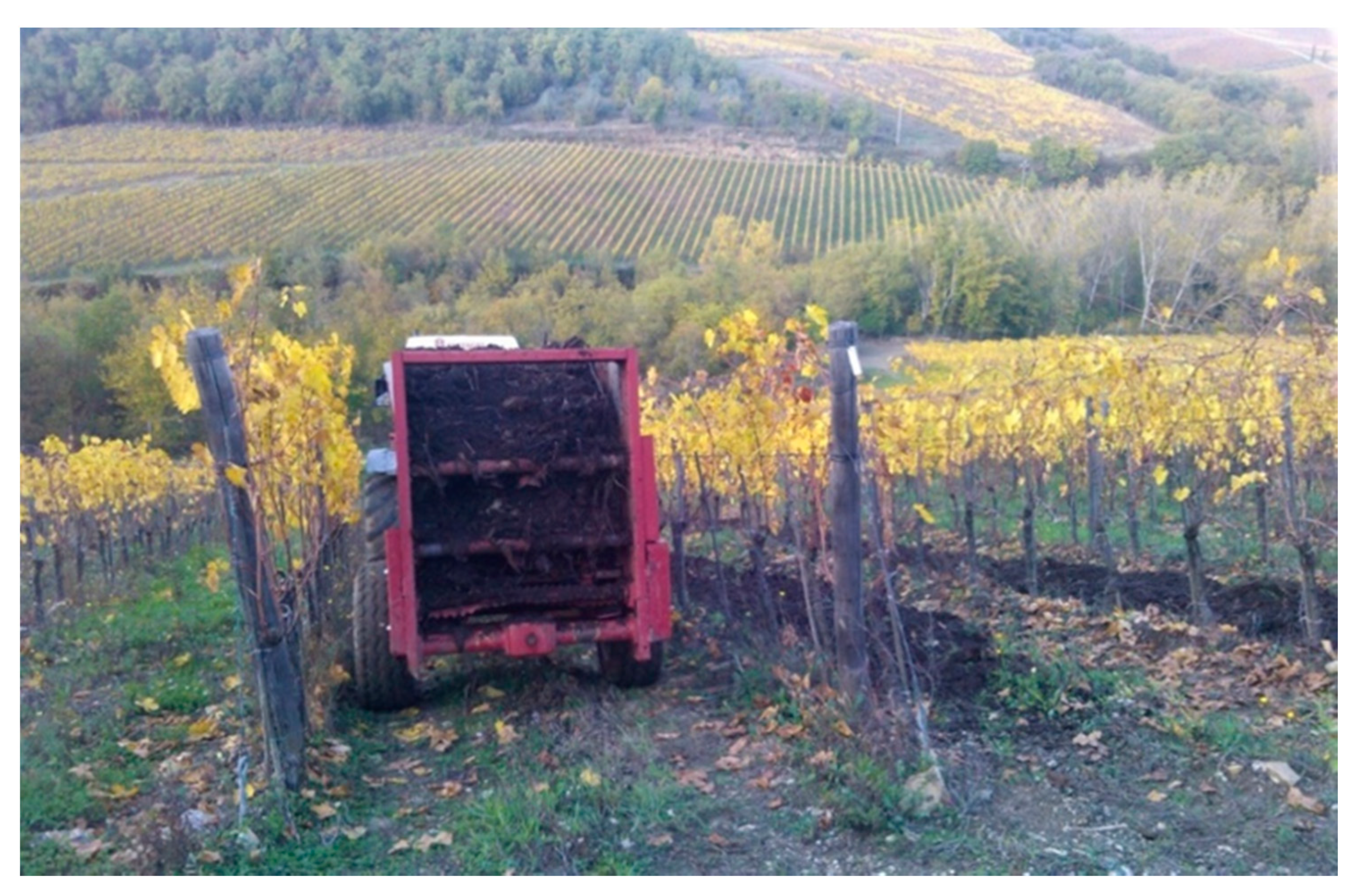 Agronomy 11 00068 g005