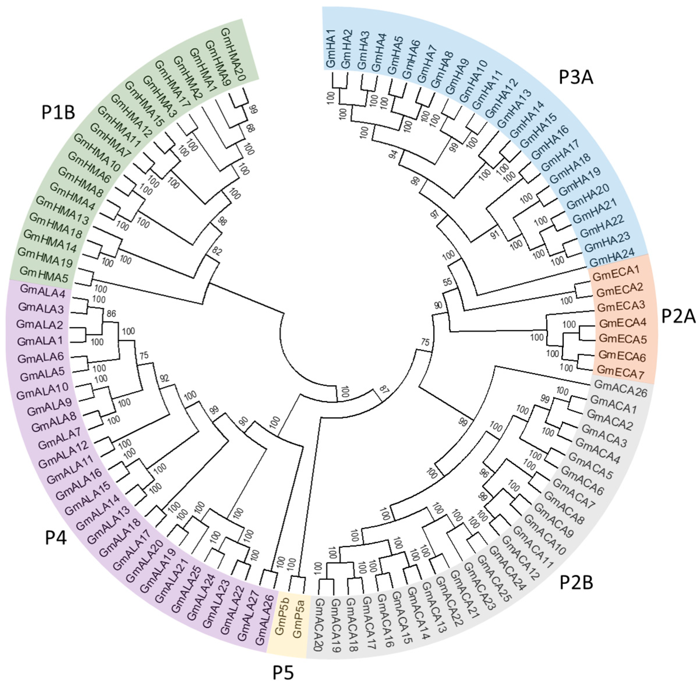 Agronomy 11 00071 g001 Agronomy 11 00071 g001