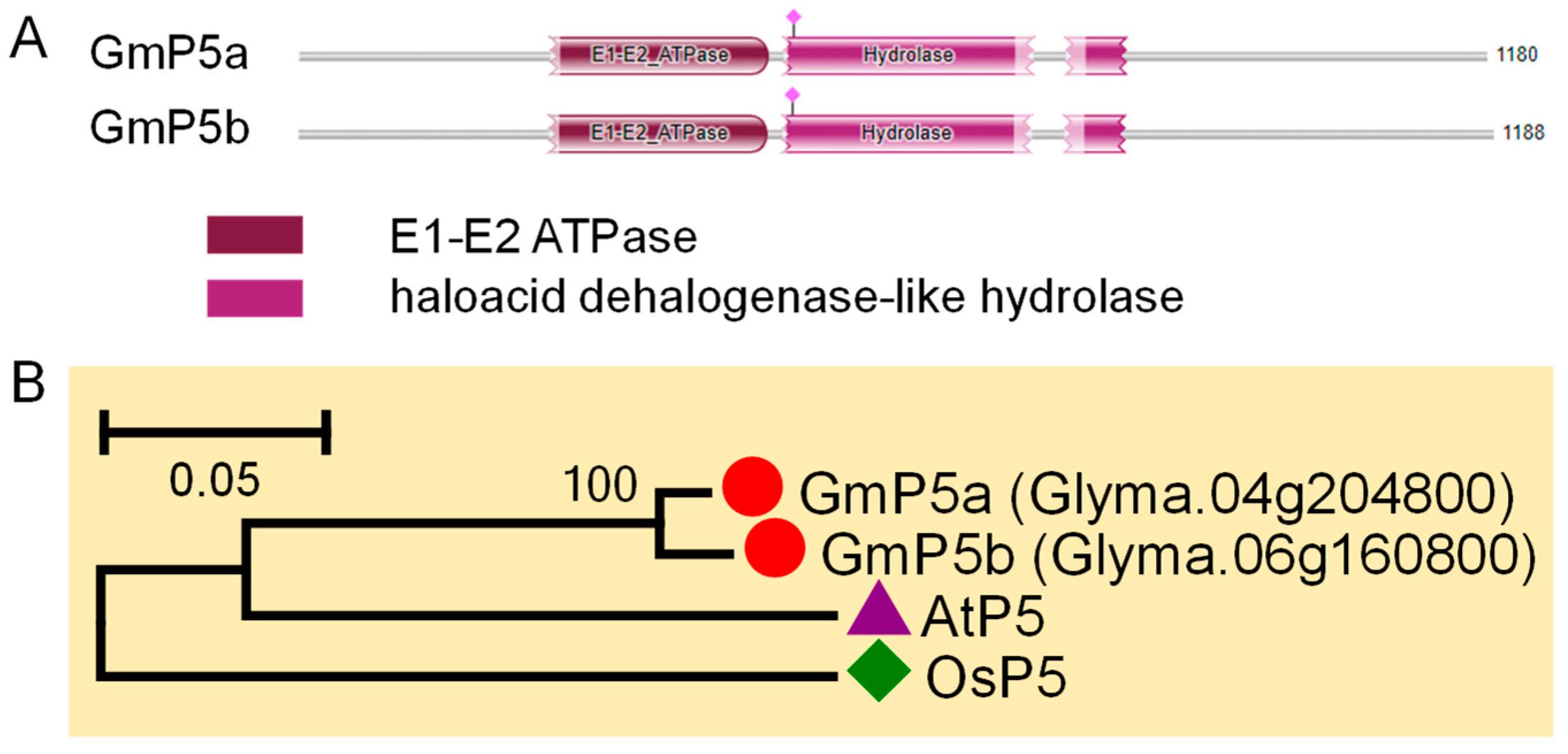 Agronomy 11 00071 g009 Agronomy 11 00071 g009