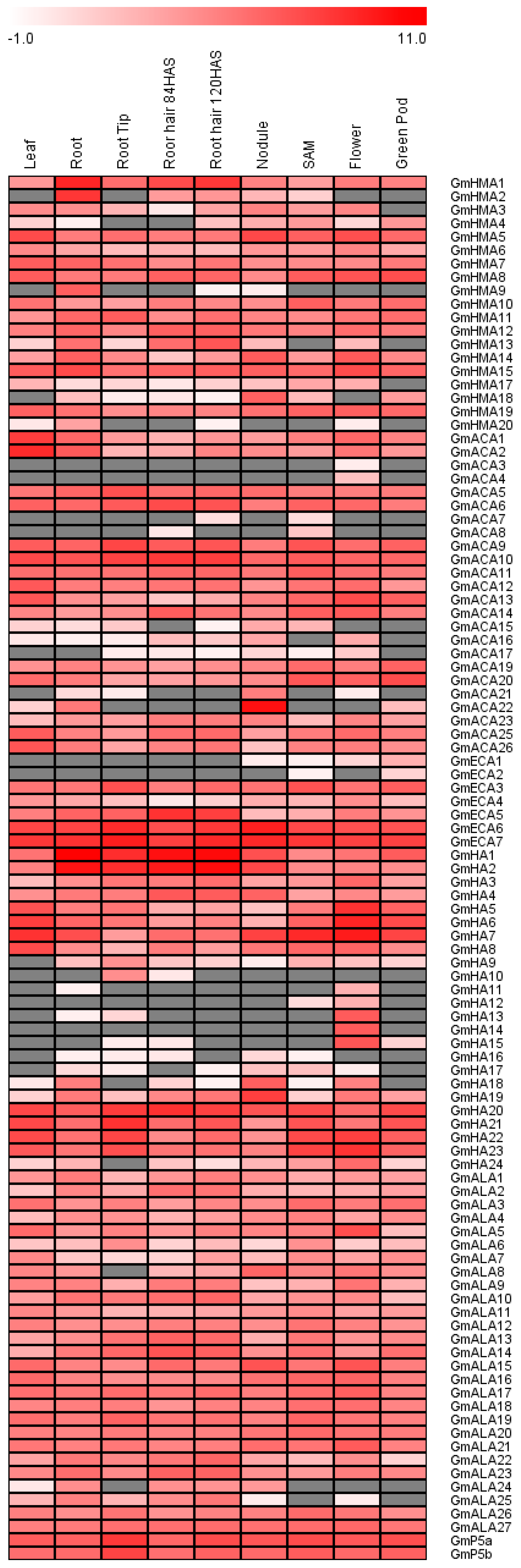Agronomy 11 00071 g011 Agronomy 11 00071 g011