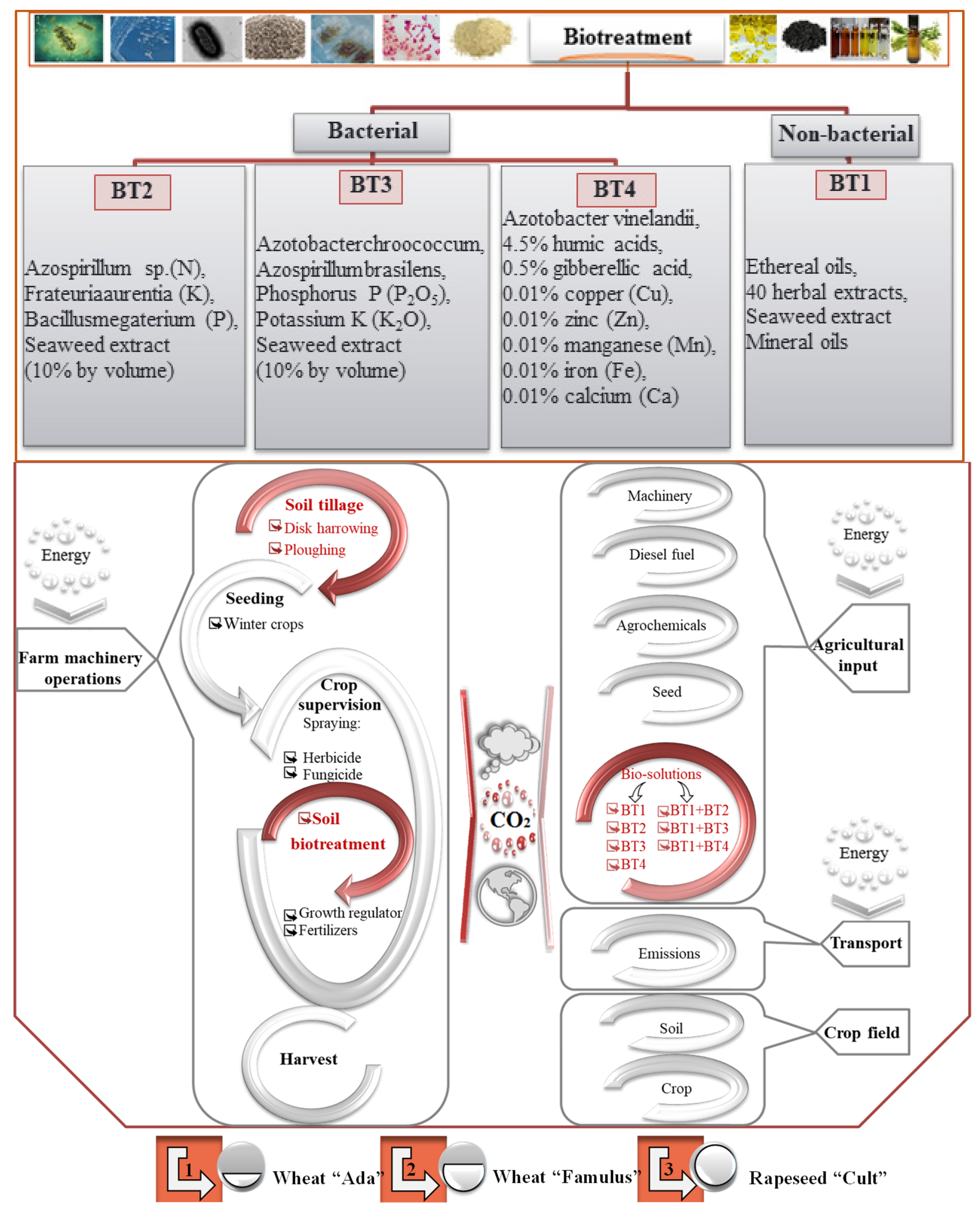 Agronomy 11 00072 g001