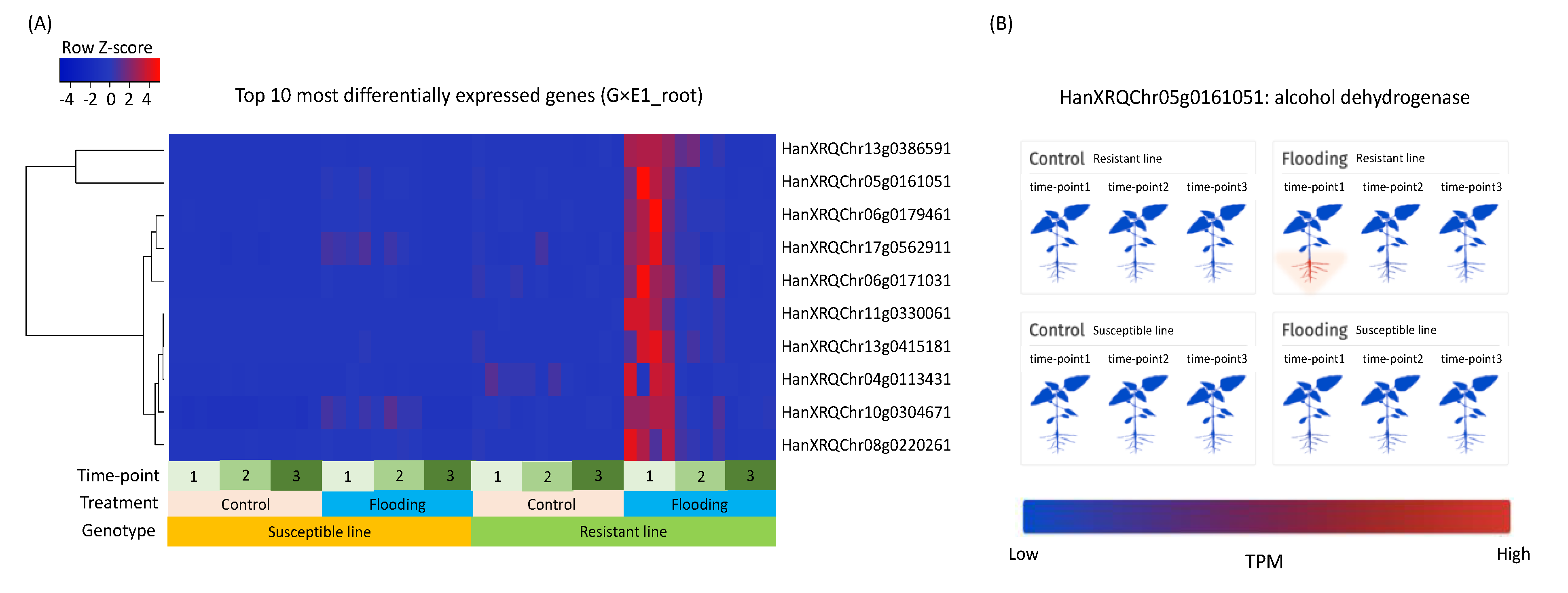 Agronomy 11 00092 g004