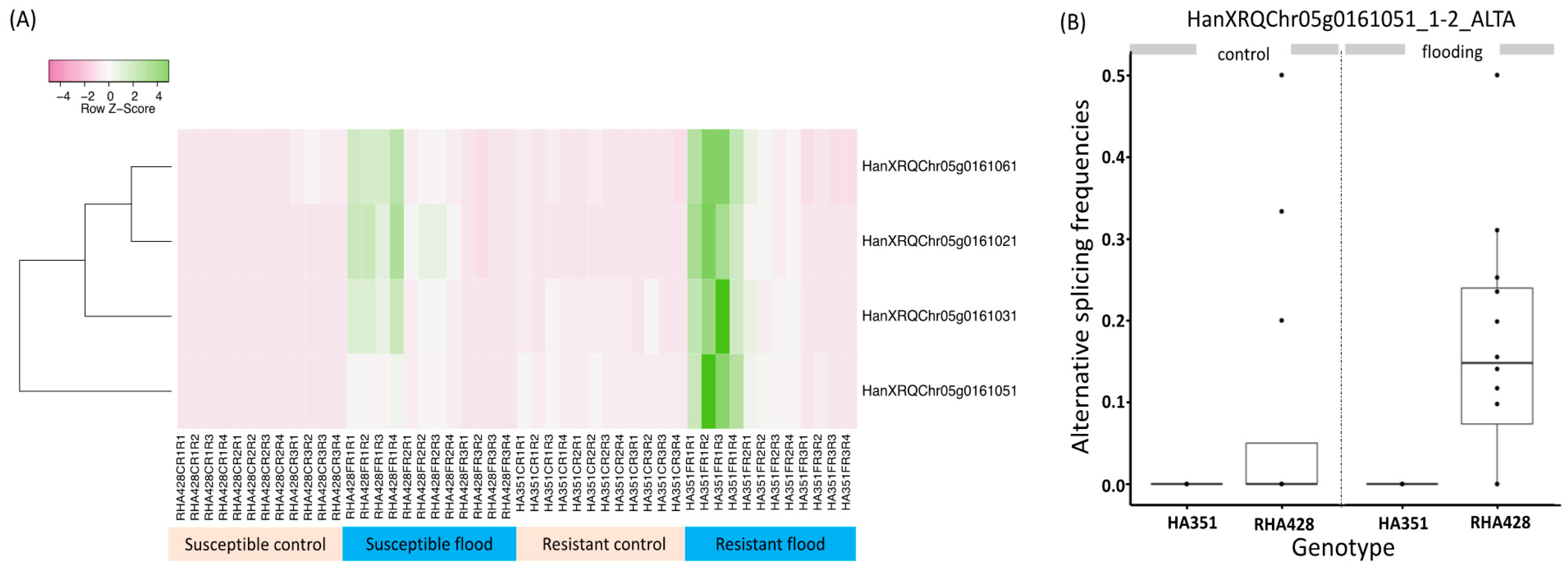 Agronomy 11 00092 g006