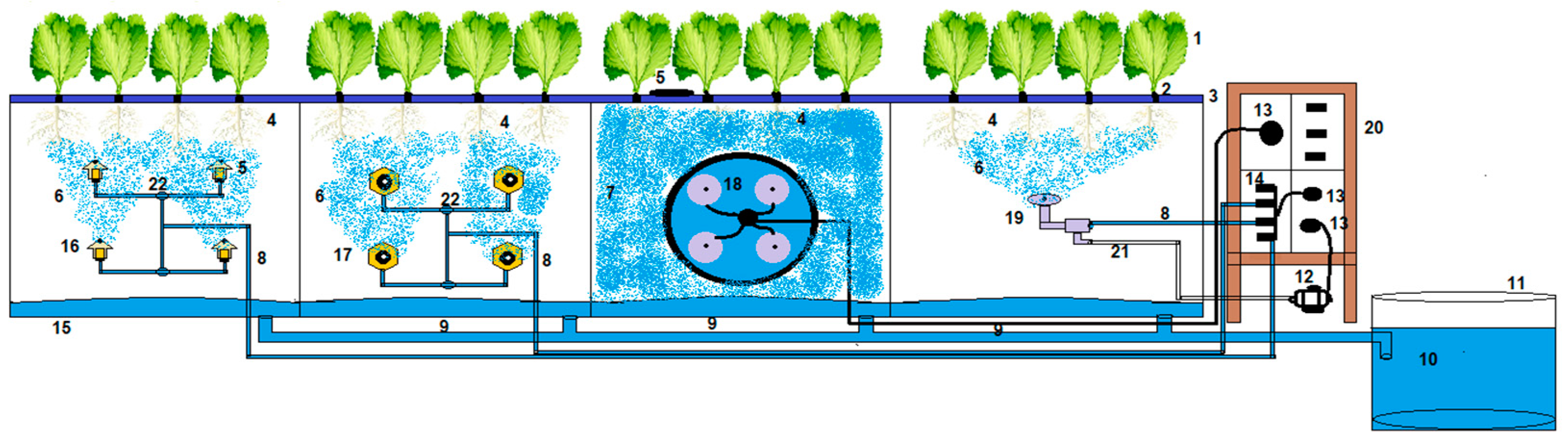 Agronomy 11 00097 g001