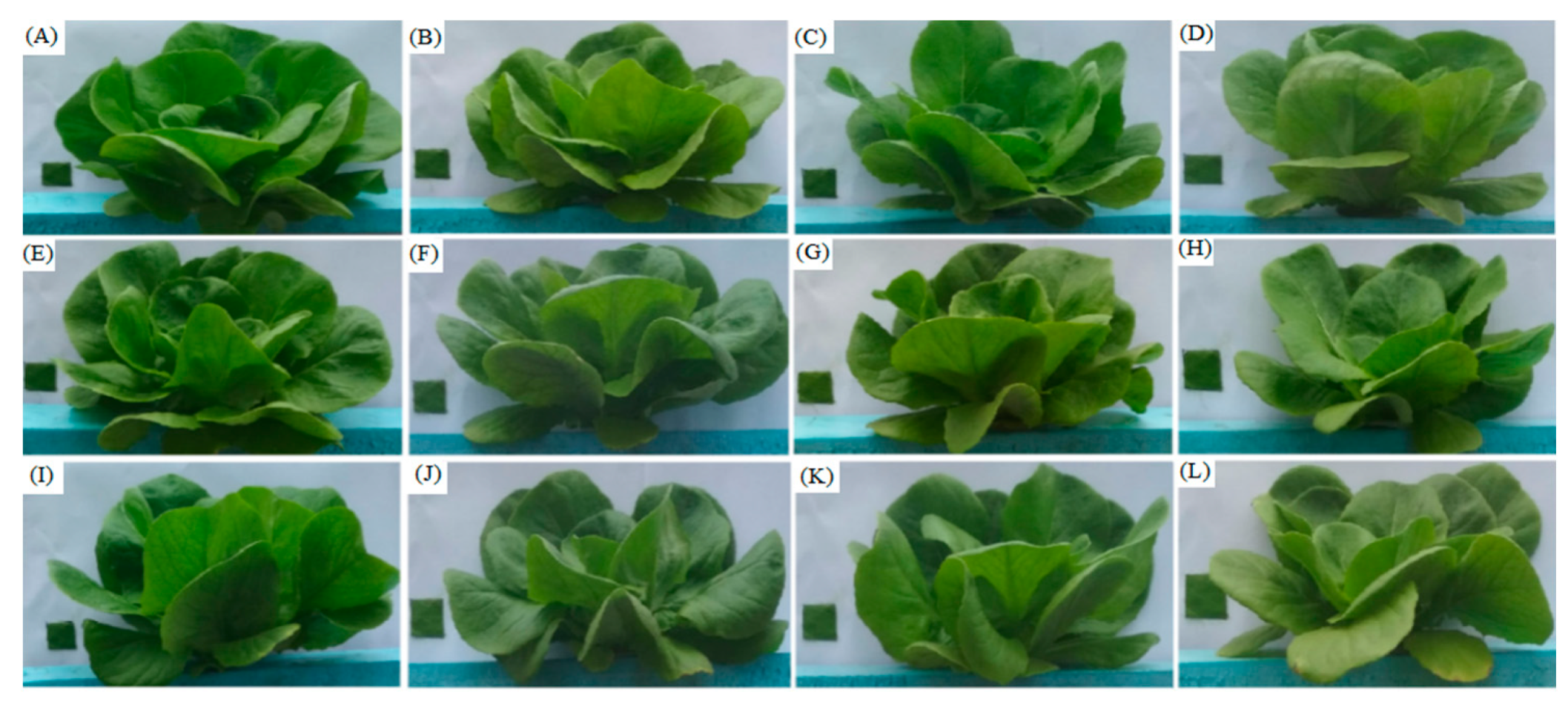 Agronomy 11 00097 g003