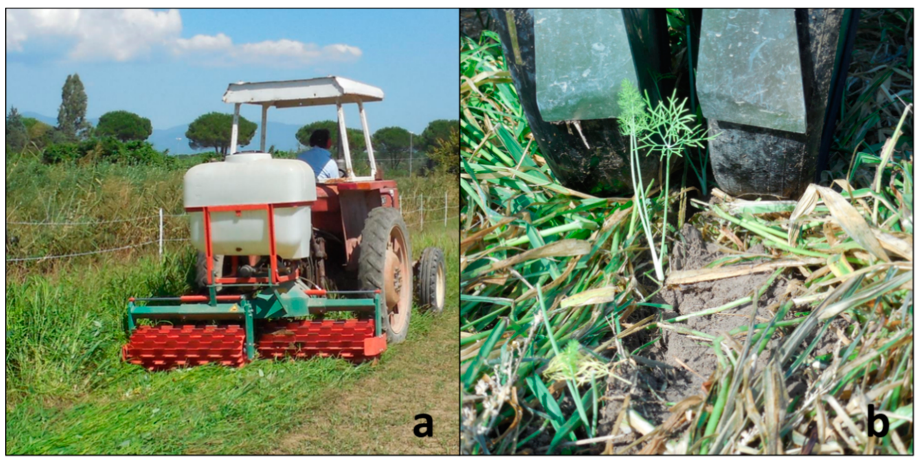 Agronomy 11 00106 g005 Agronomy 11 00106 g005