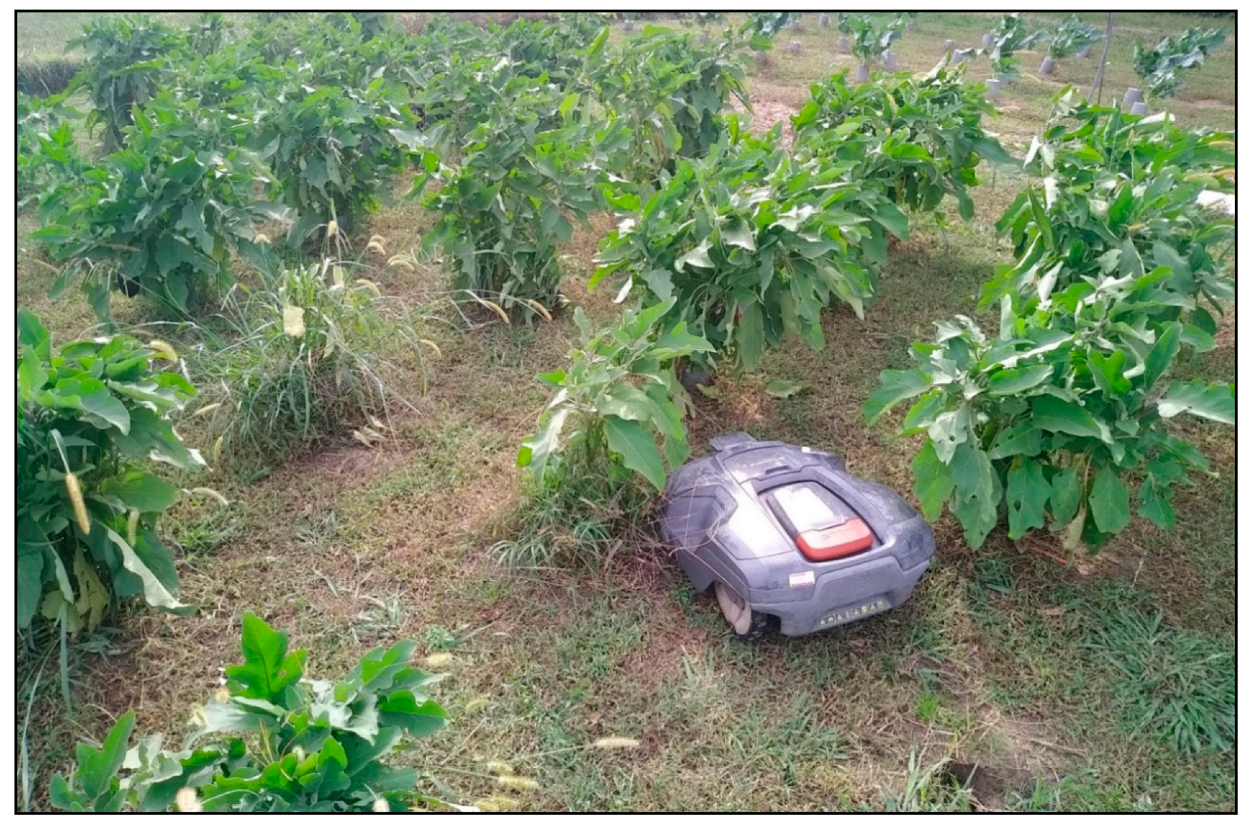 Agronomy 11 00106 g006 Agronomy 11 00106 g006