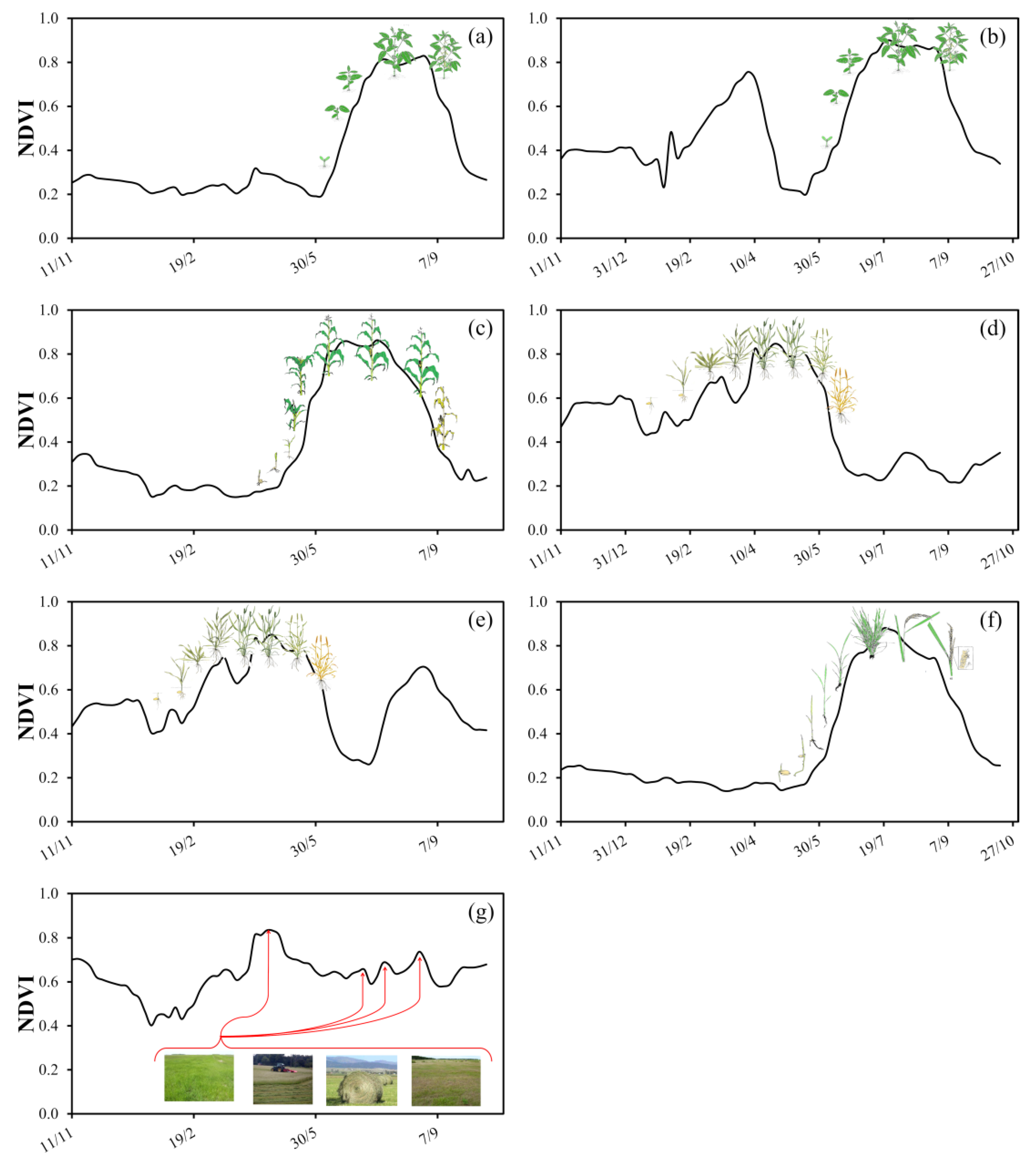 Agronomy 11 00110 g004