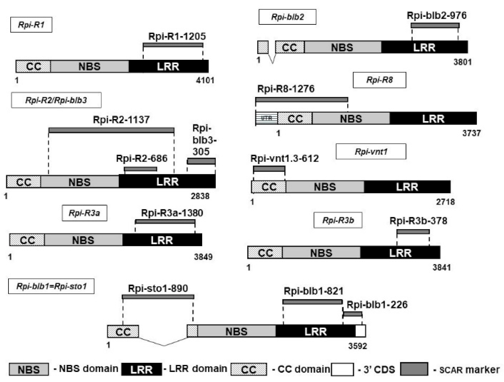 Agronomy 11 00115 g001 Agronomy 11 00115 g001