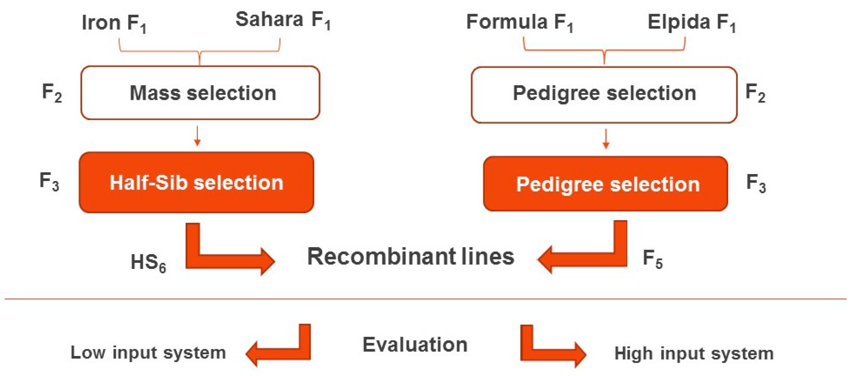 Agronomy 11 00129 g001 Agronomy 11 00129 g001