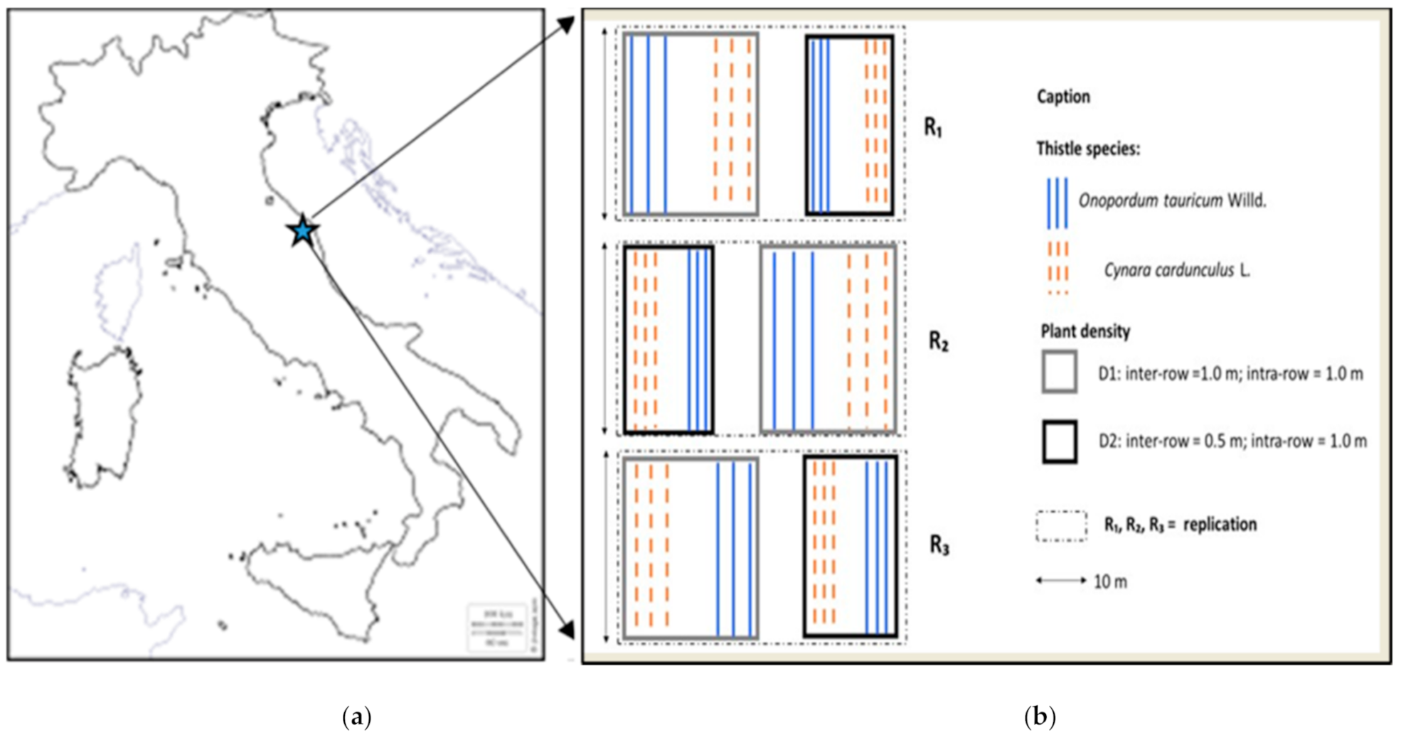 Agronomy 11 00135 g001 Agronomy 11 00135 g001