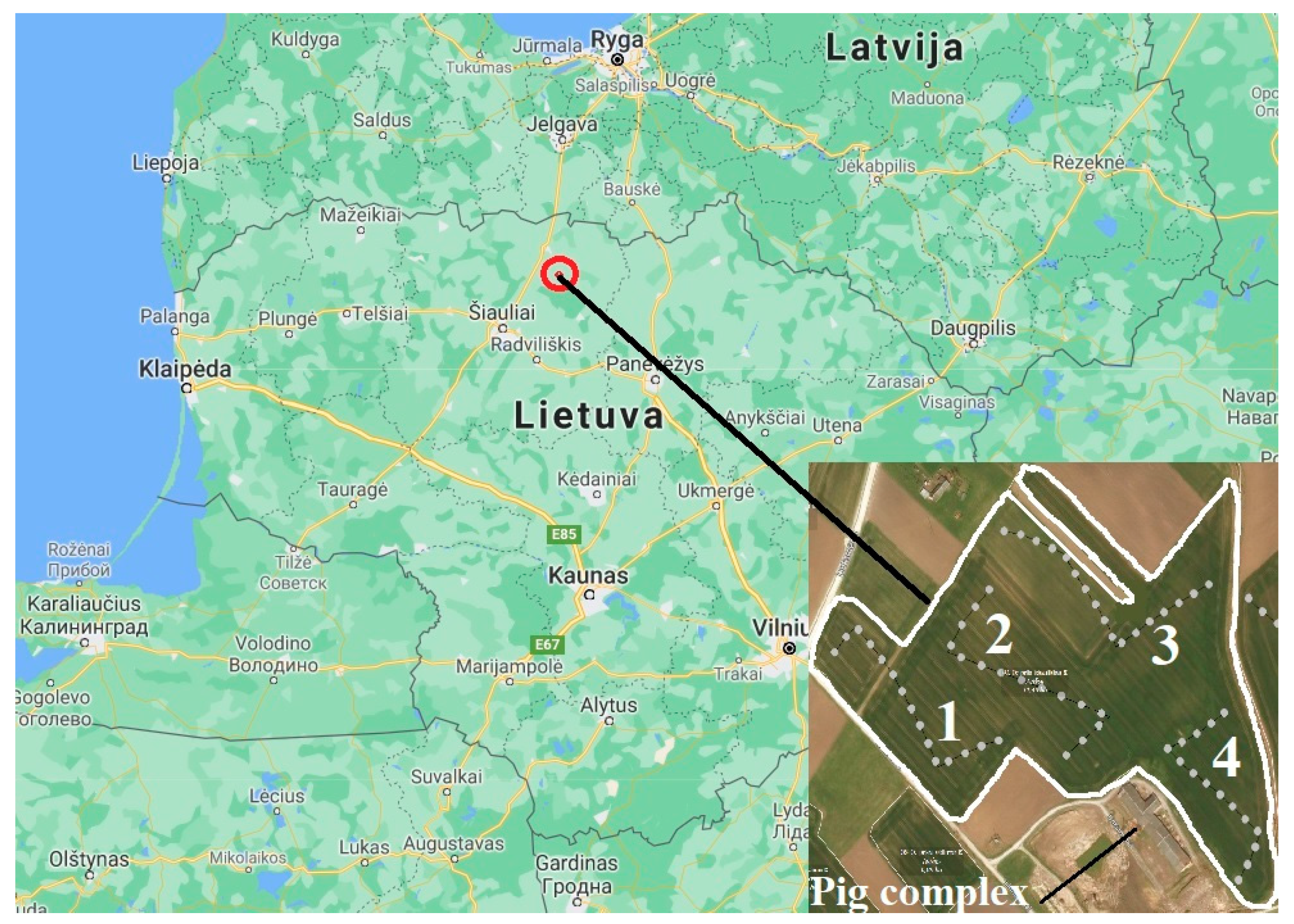 Agronomy 11 00138 g001