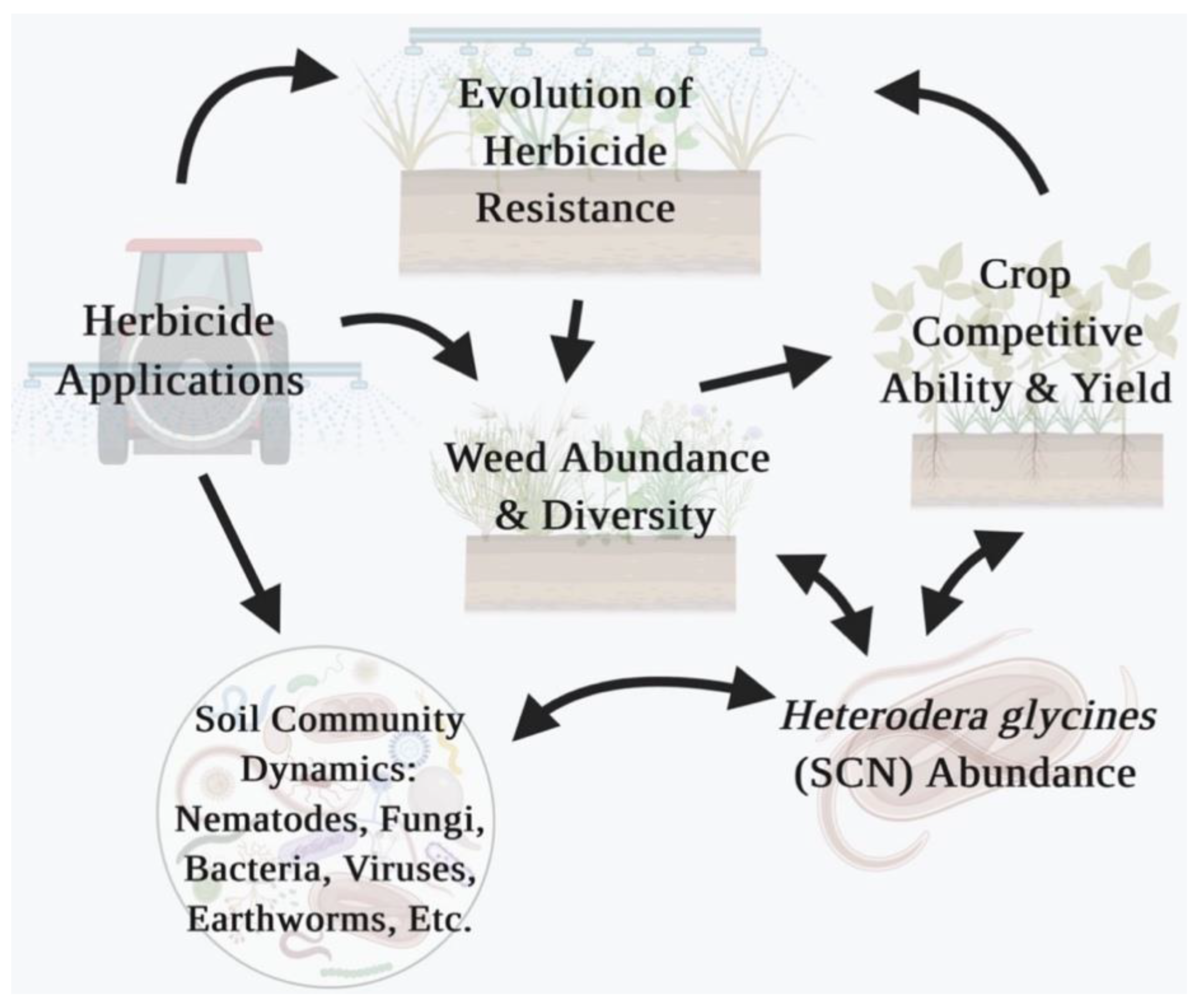 Agronomy 11 00146 g001 Agronomy 11 00146 g001