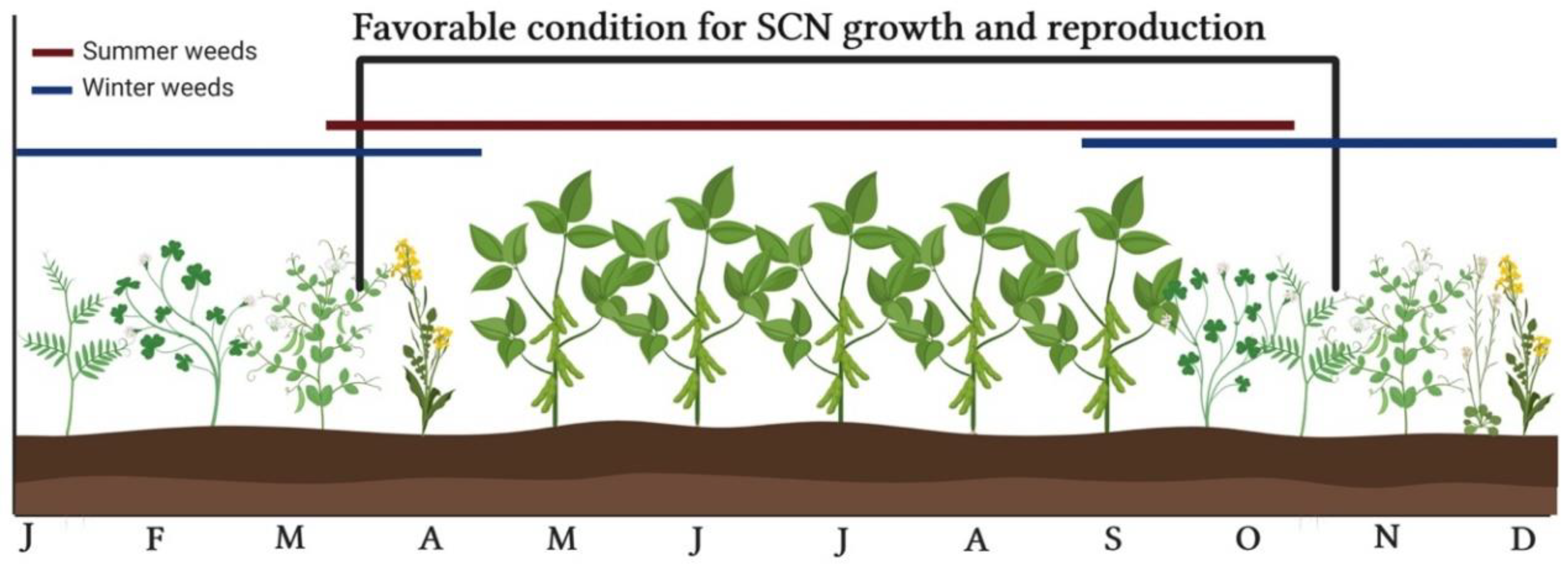 Agronomy 11 00146 g002 Agronomy 11 00146 g002