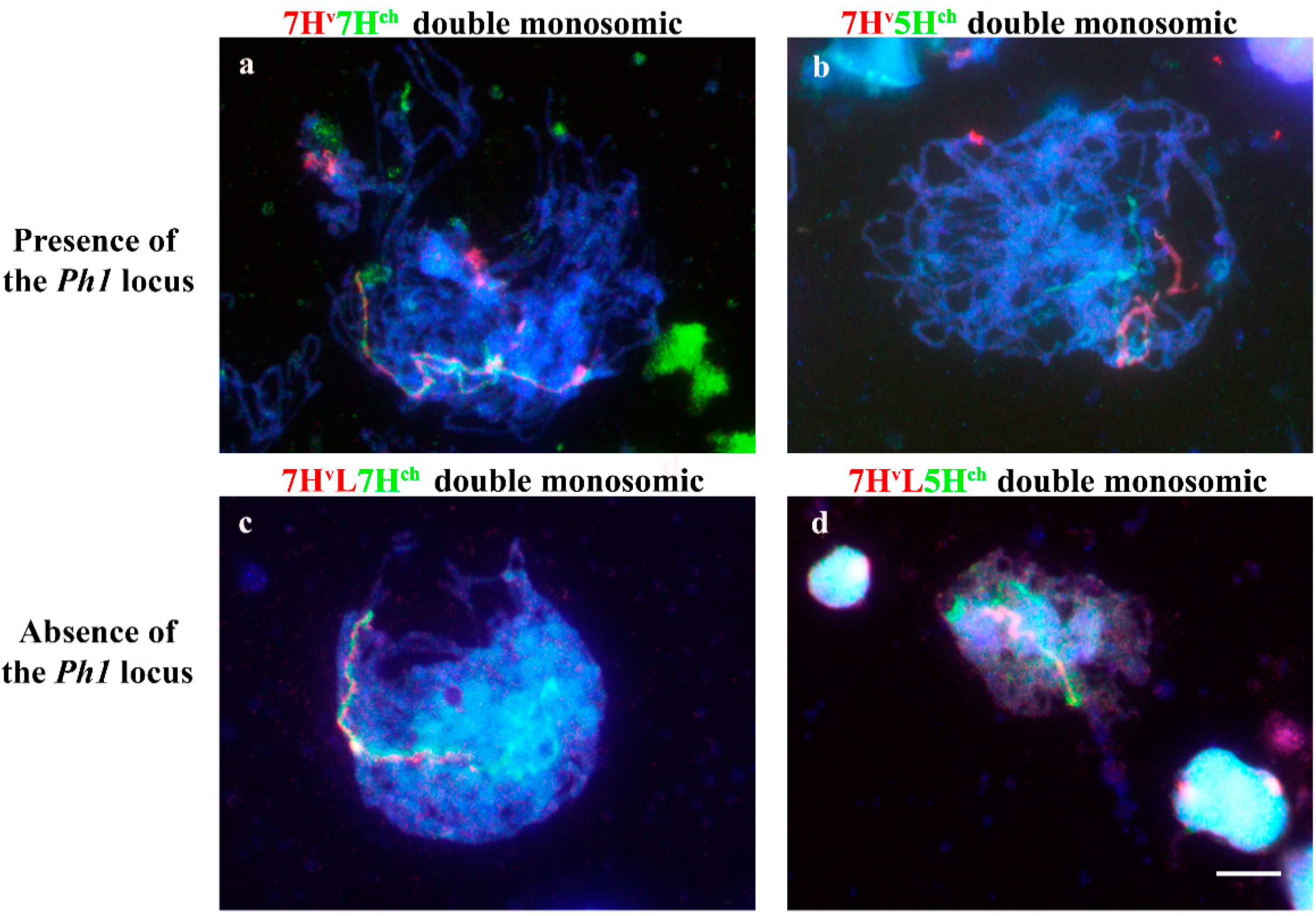 Agronomy 11 00147 g002 Agronomy 11 00147 g002