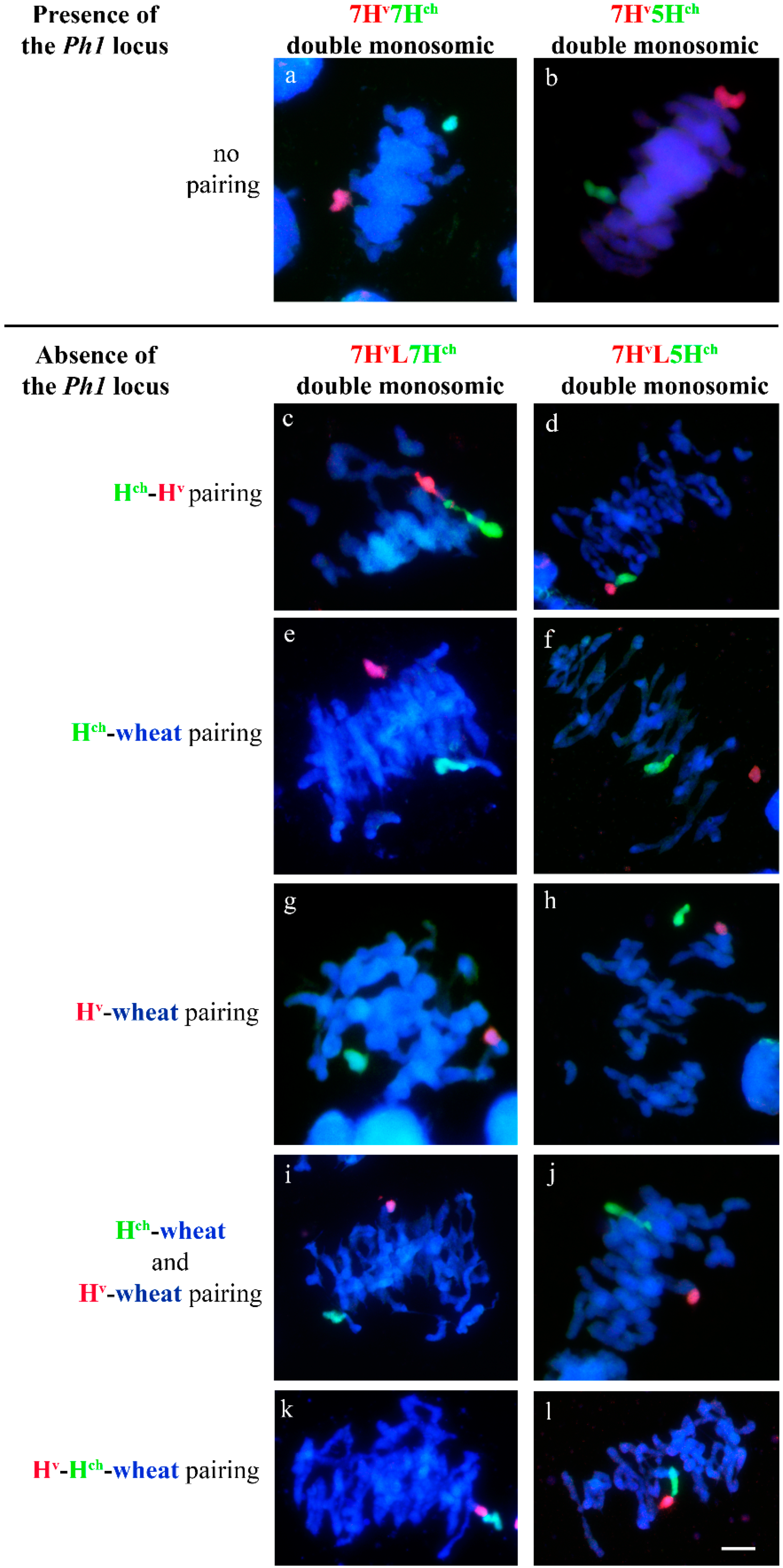 Agronomy 11 00147 g003 Agronomy 11 00147 g003
