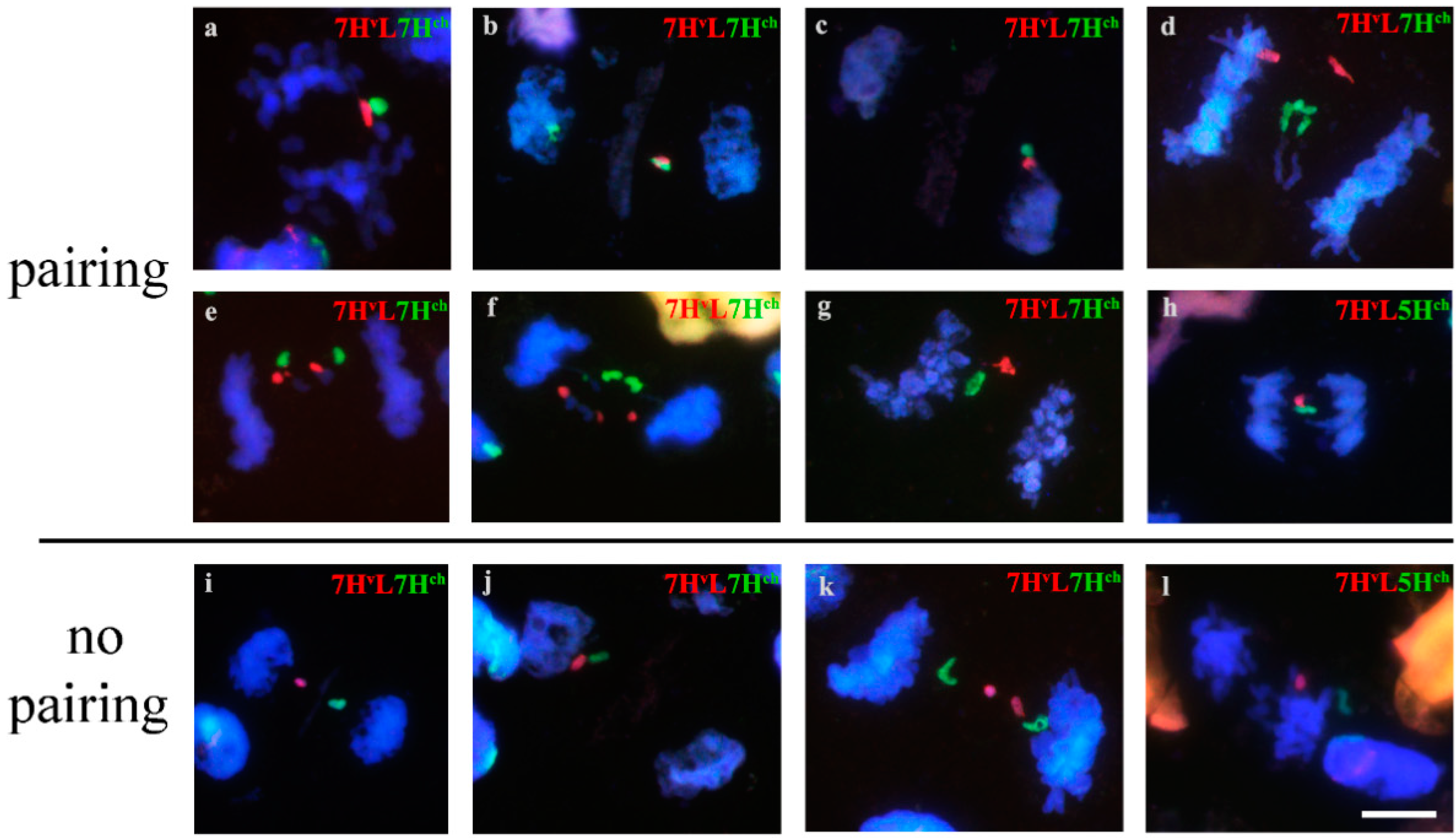 Agronomy 11 00147 g004 Agronomy 11 00147 g004