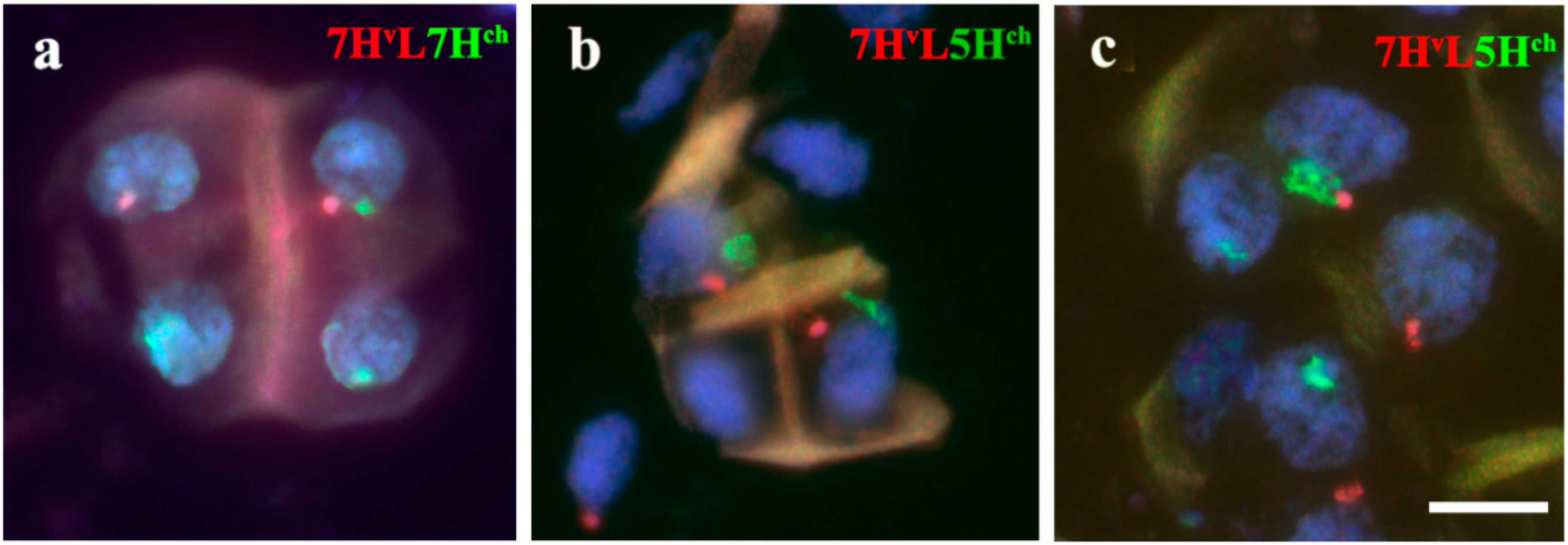 Agronomy 11 00147 g005 Agronomy 11 00147 g005