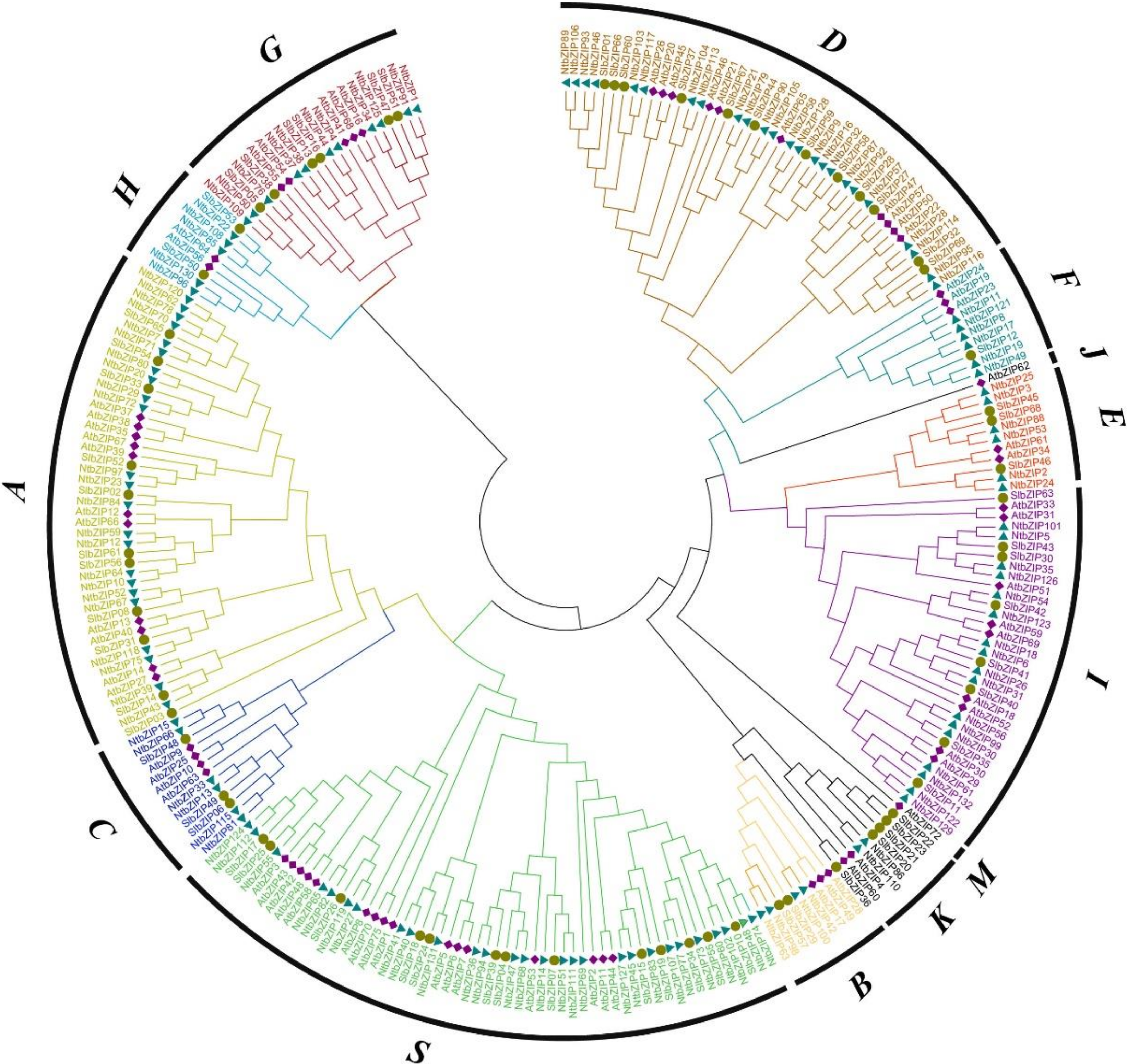 Agronomy 11 00148 g001