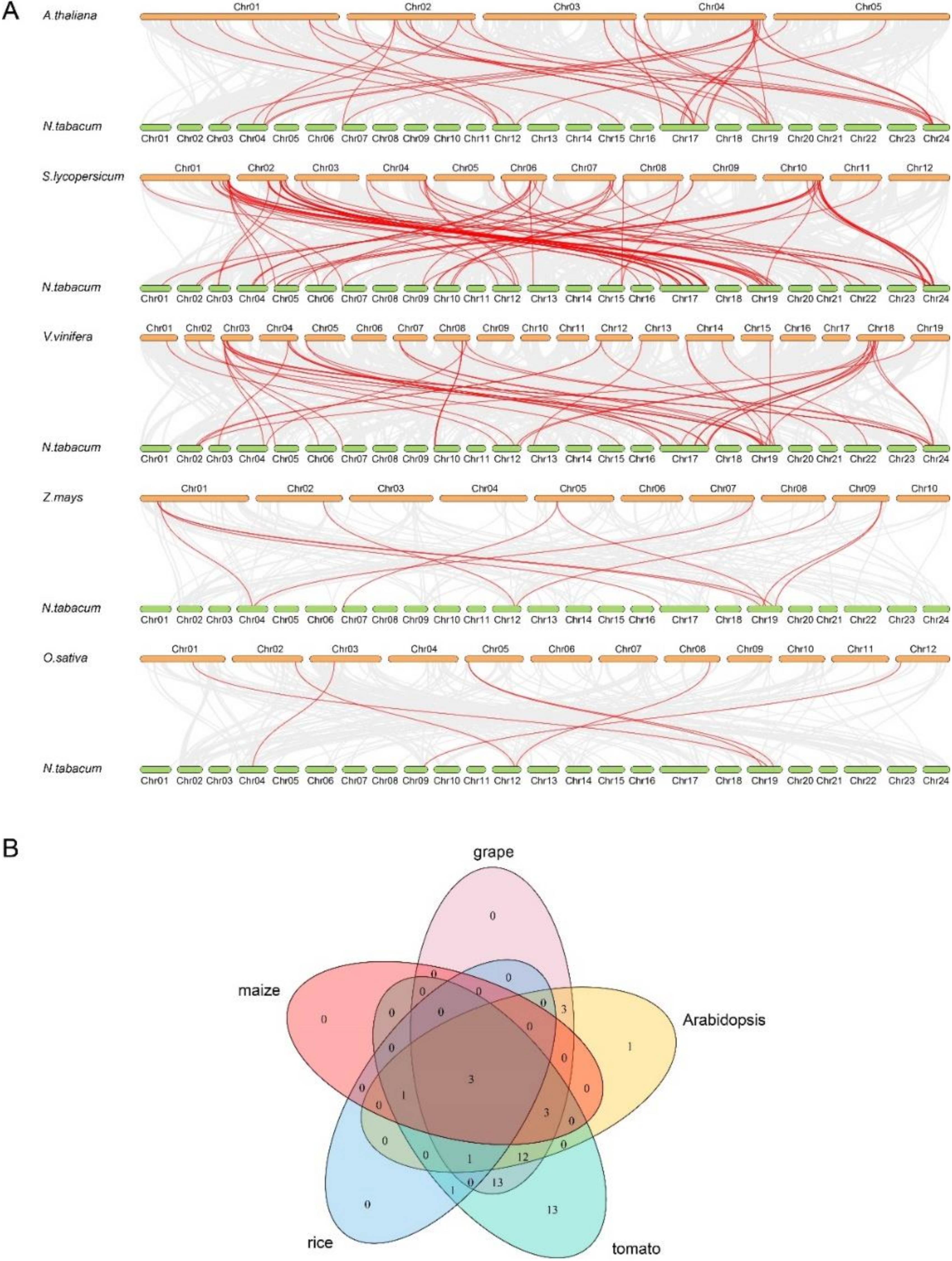 Agronomy 11 00148 g002