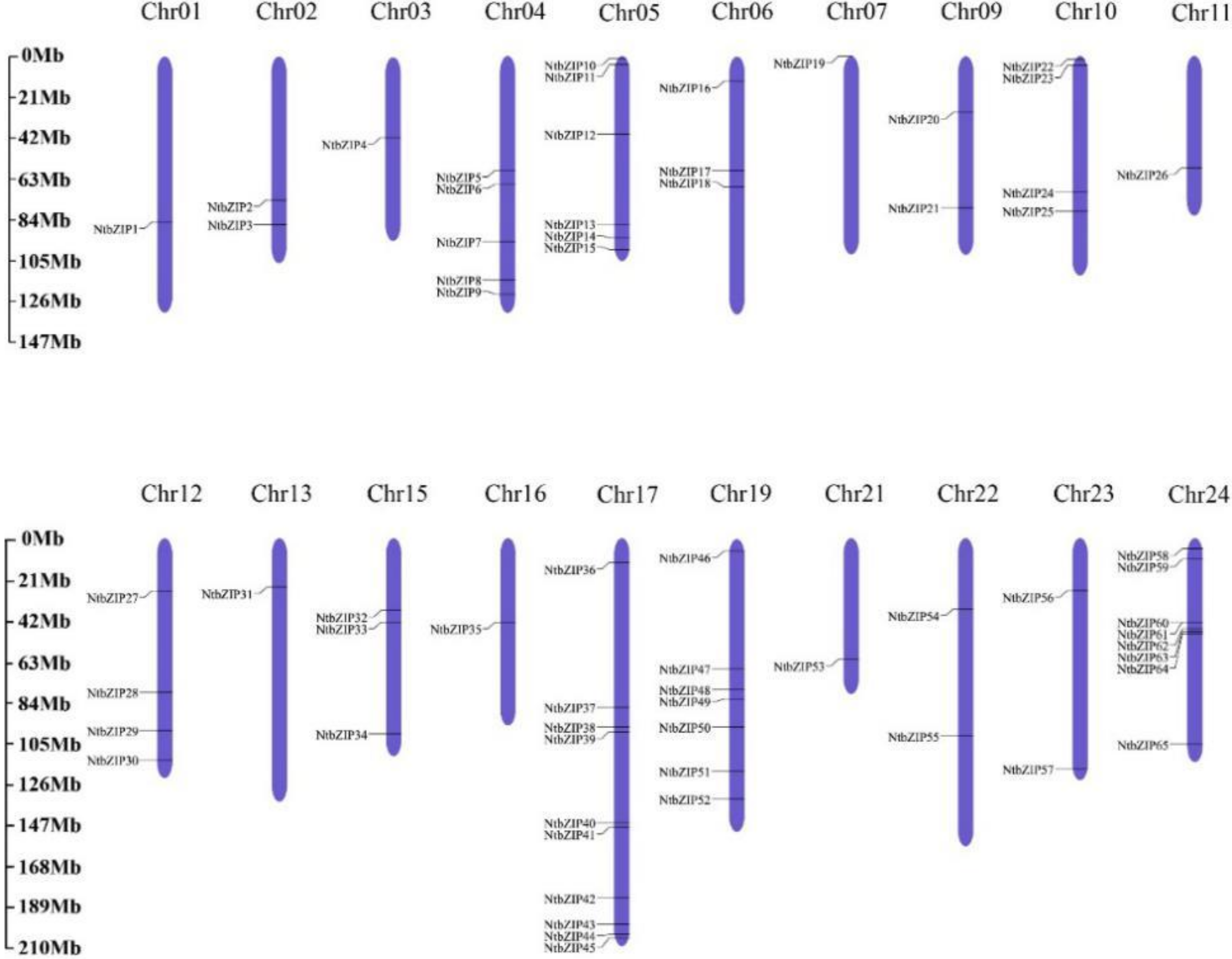 Agronomy 11 00148 g003