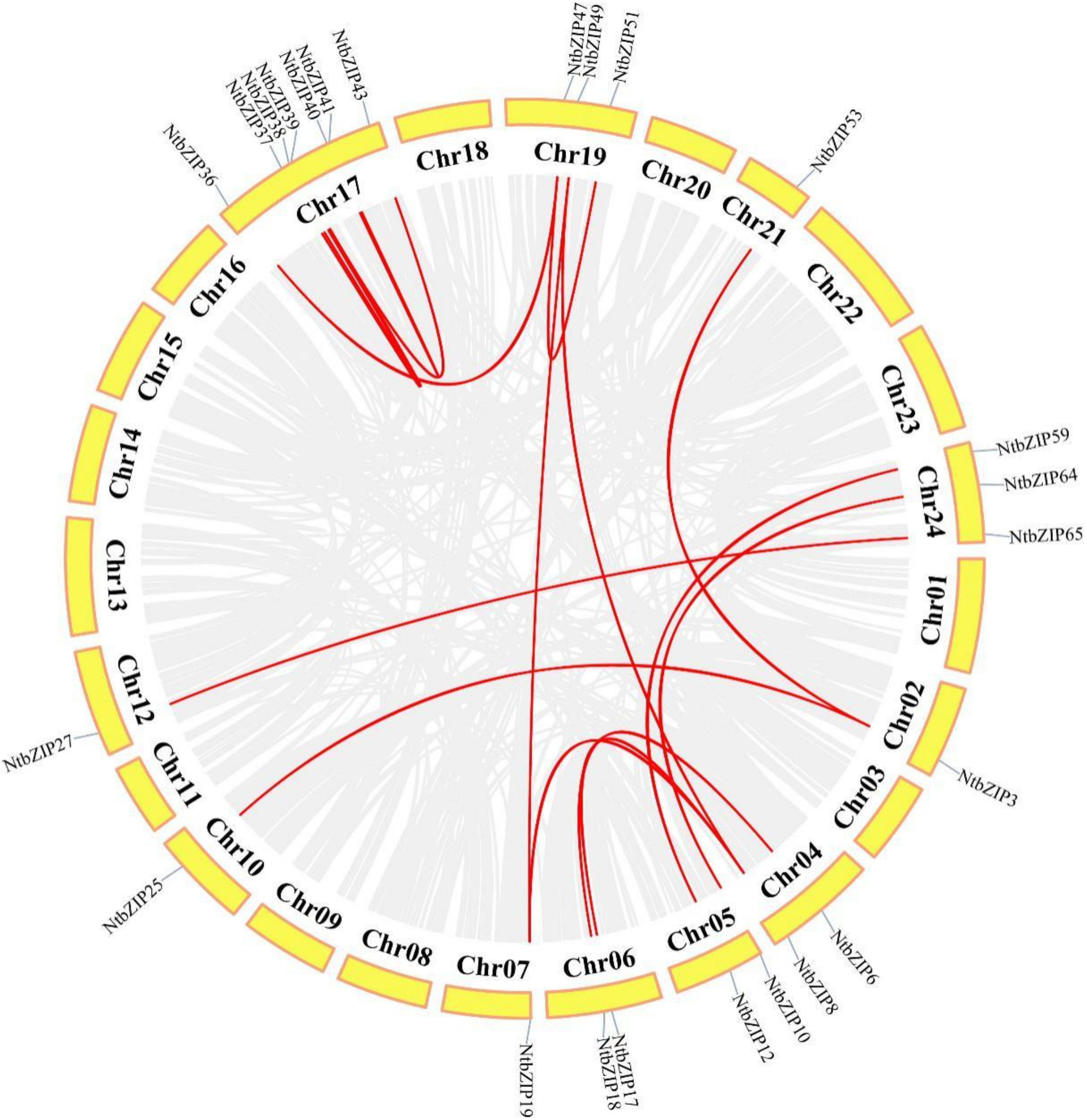 Agronomy 11 00148 g004