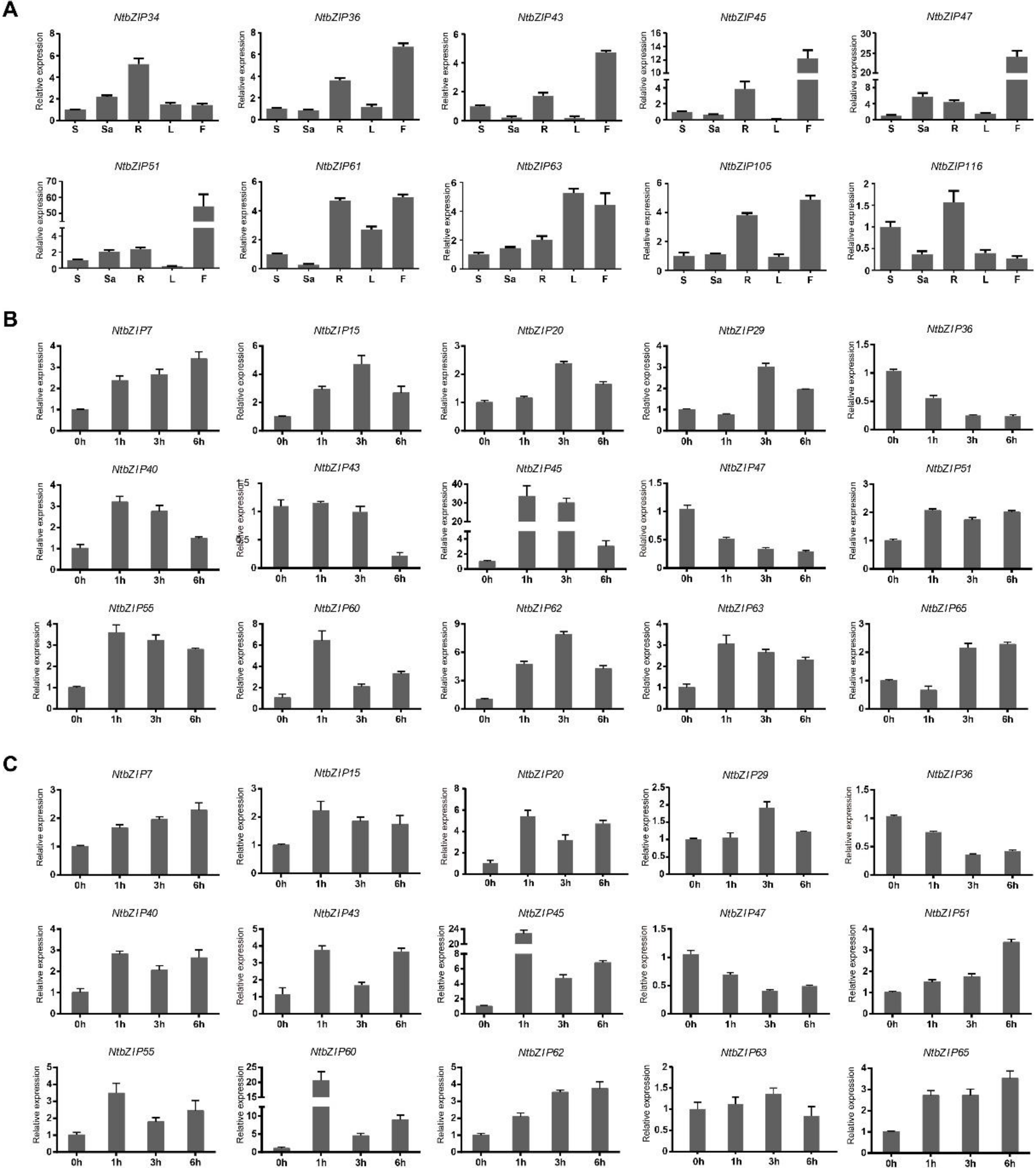 Agronomy 11 00148 g007