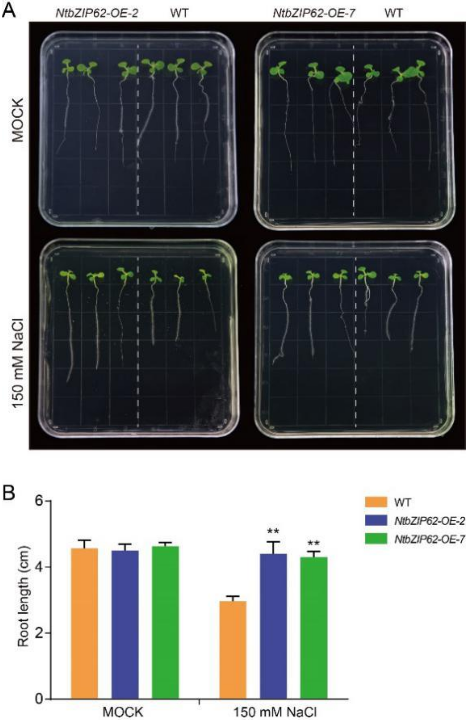 Agronomy 11 00148 g009