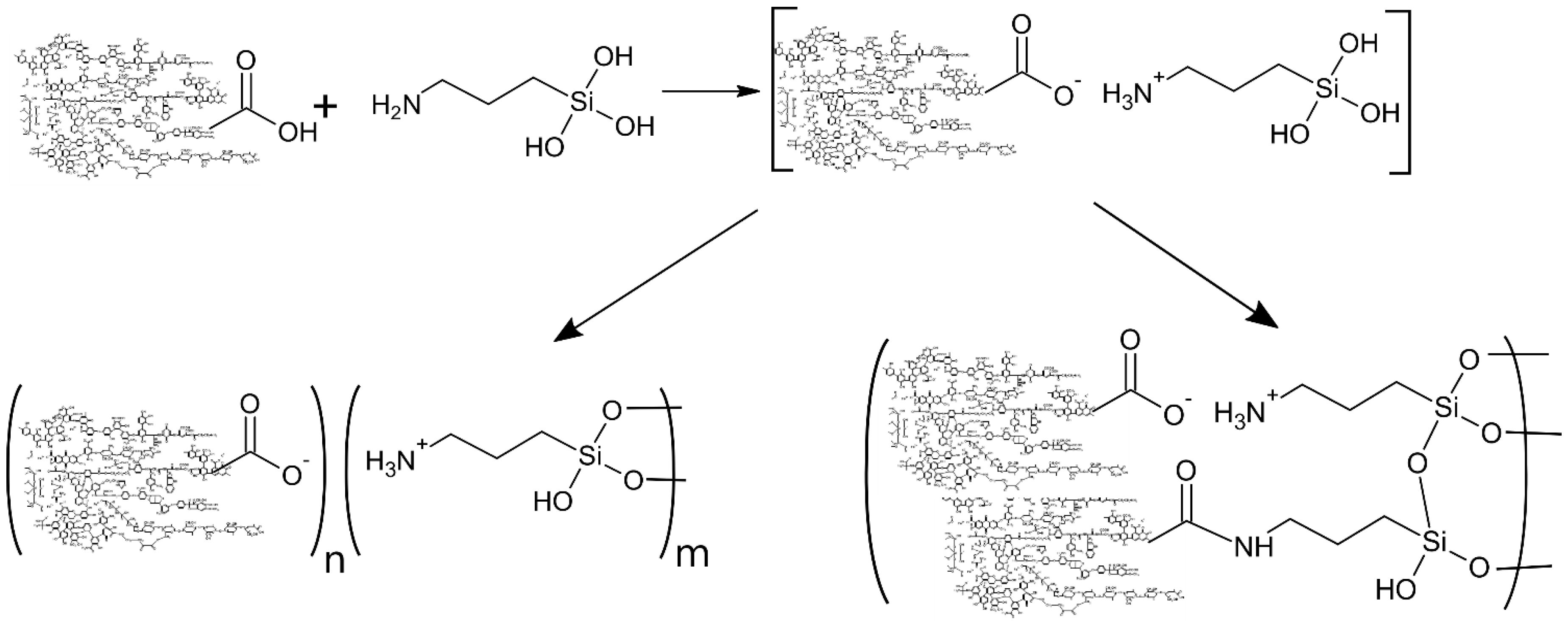 Agronomy 11 00150 g001