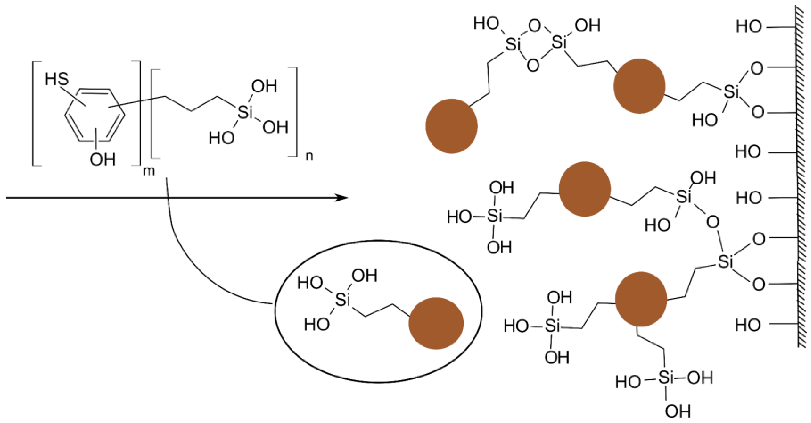 Agronomy 11 00150 g007