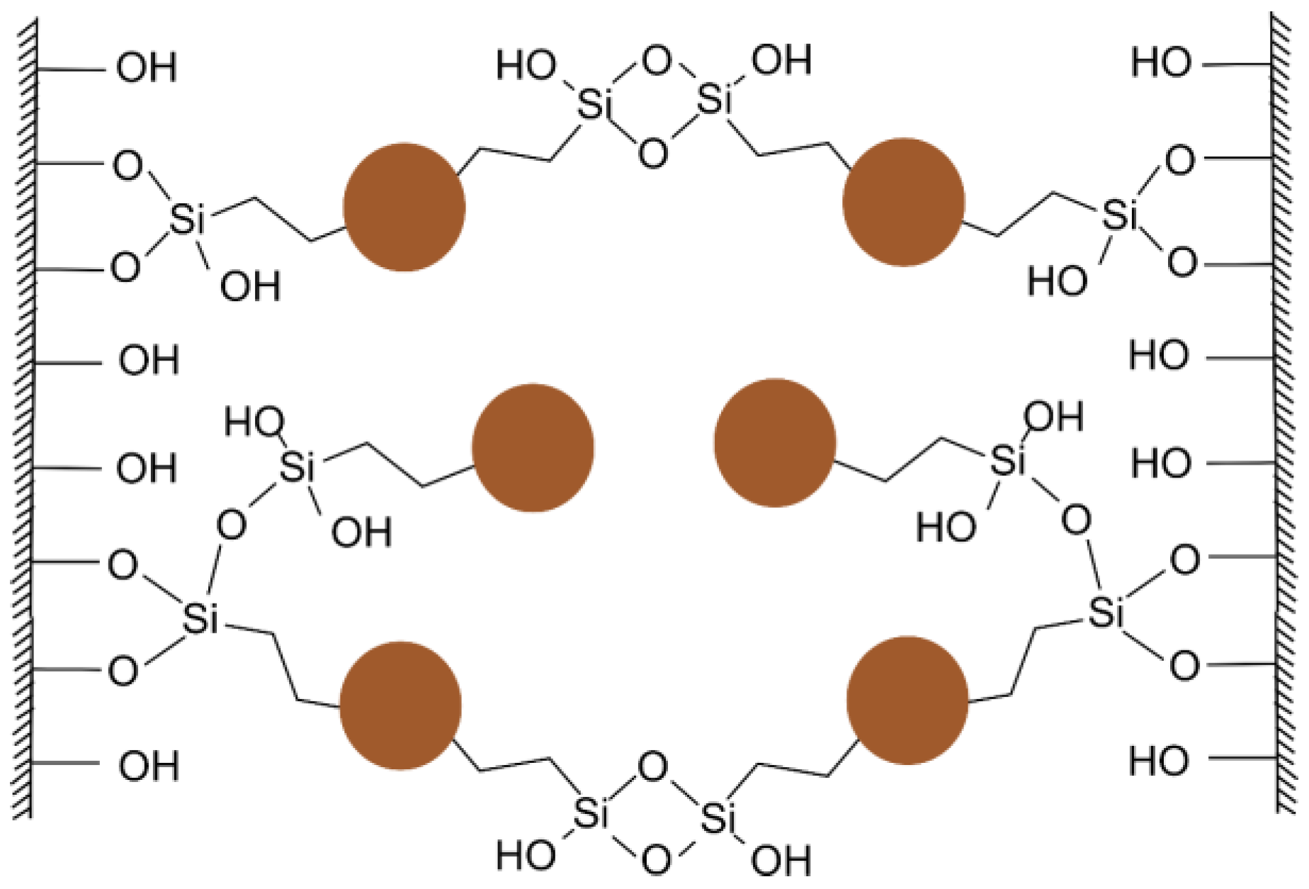 Agronomy 11 00150 g008