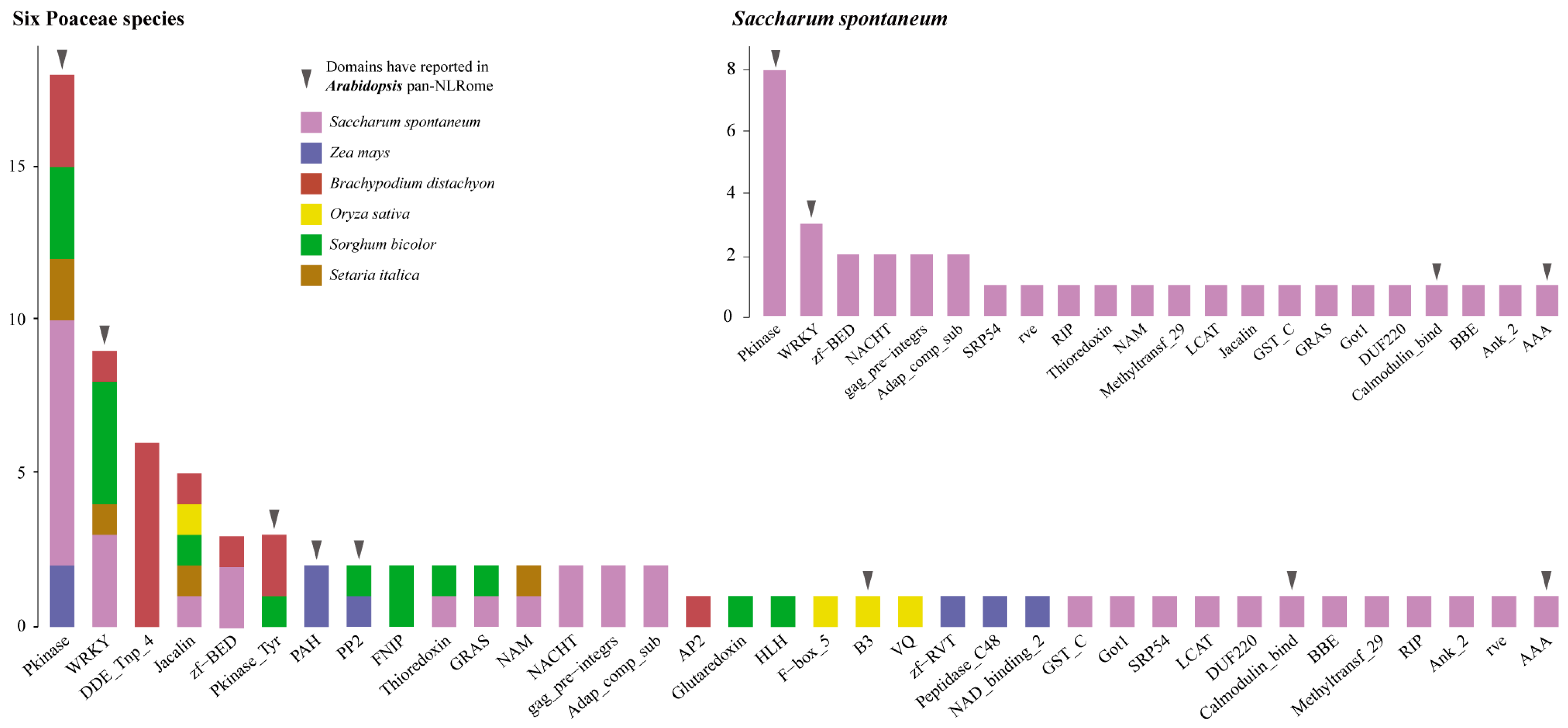 Agronomy 11 00153 g001