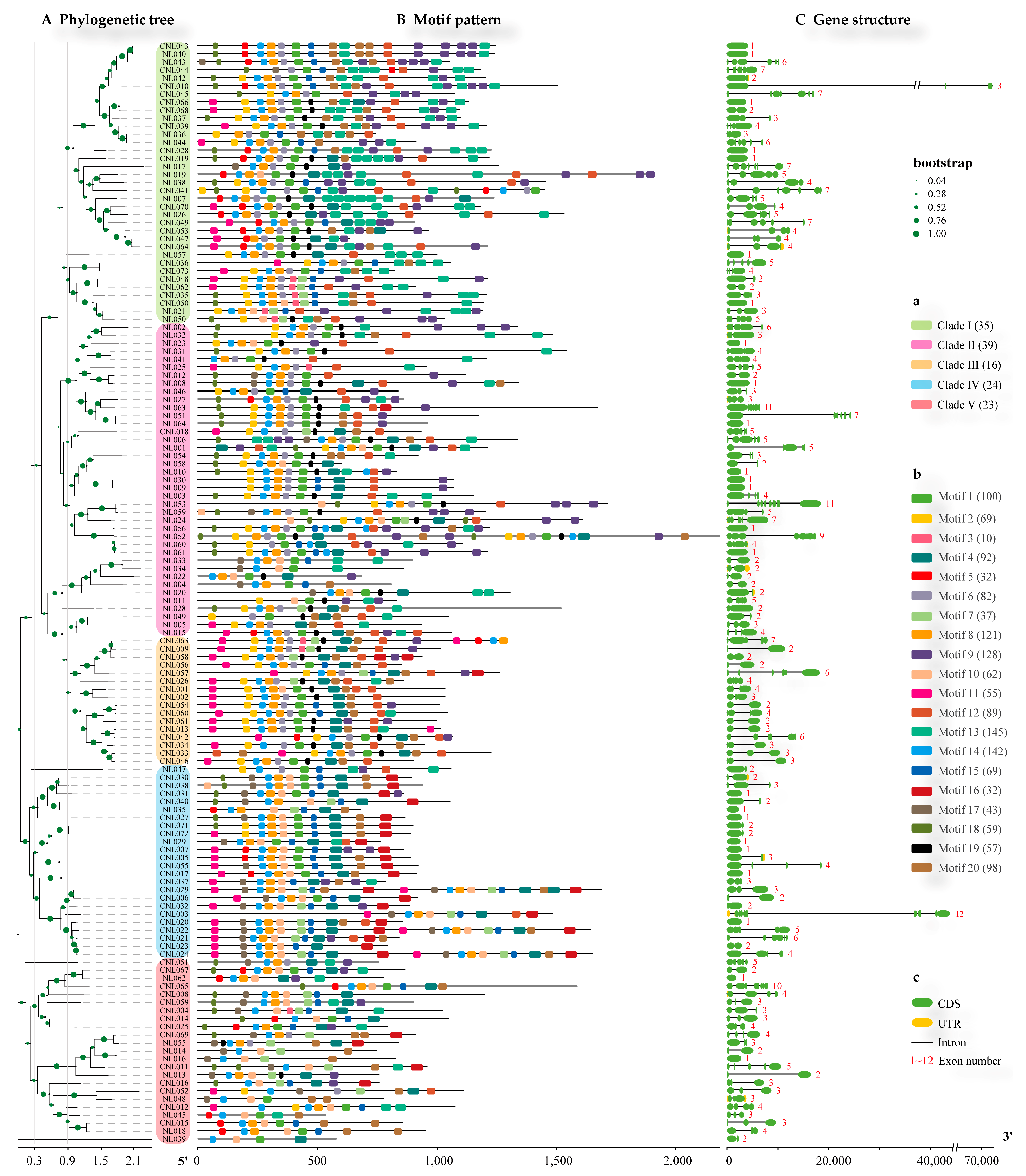 Agronomy 11 00153 g003