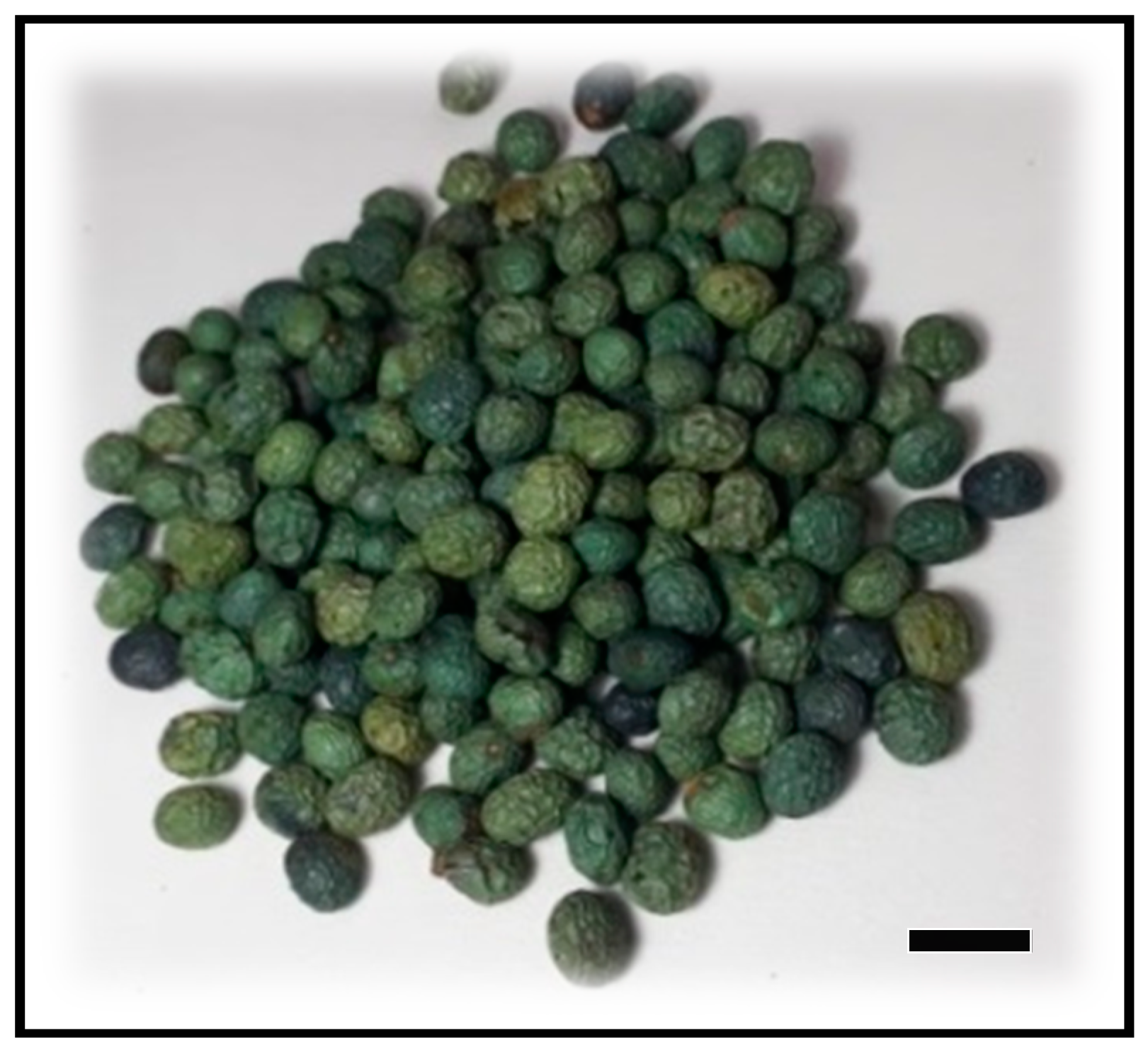 Agronomy 11 00154 g001