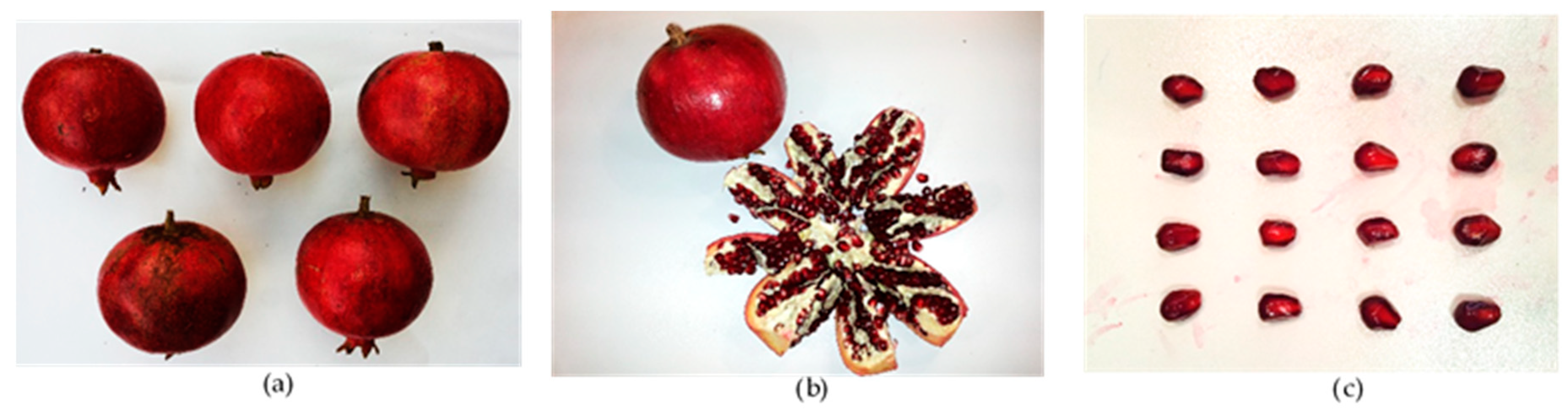 Agronomy 11 00156 g003