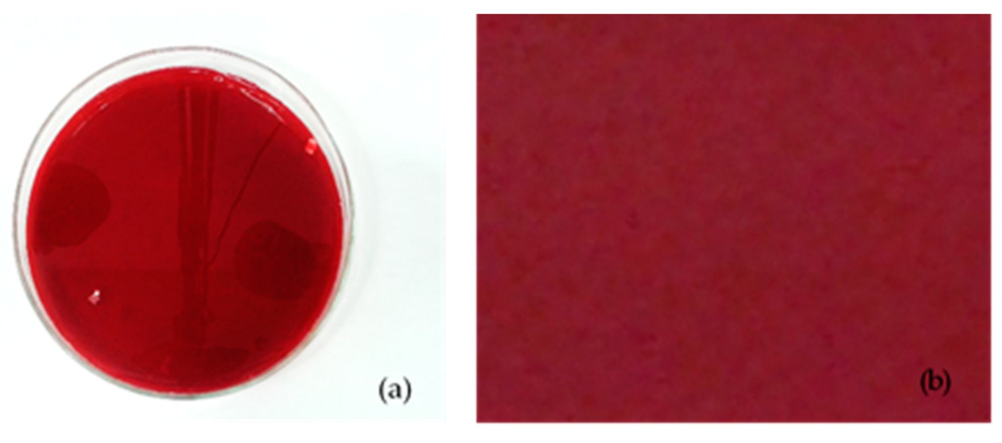Agronomy 11 00156 g004